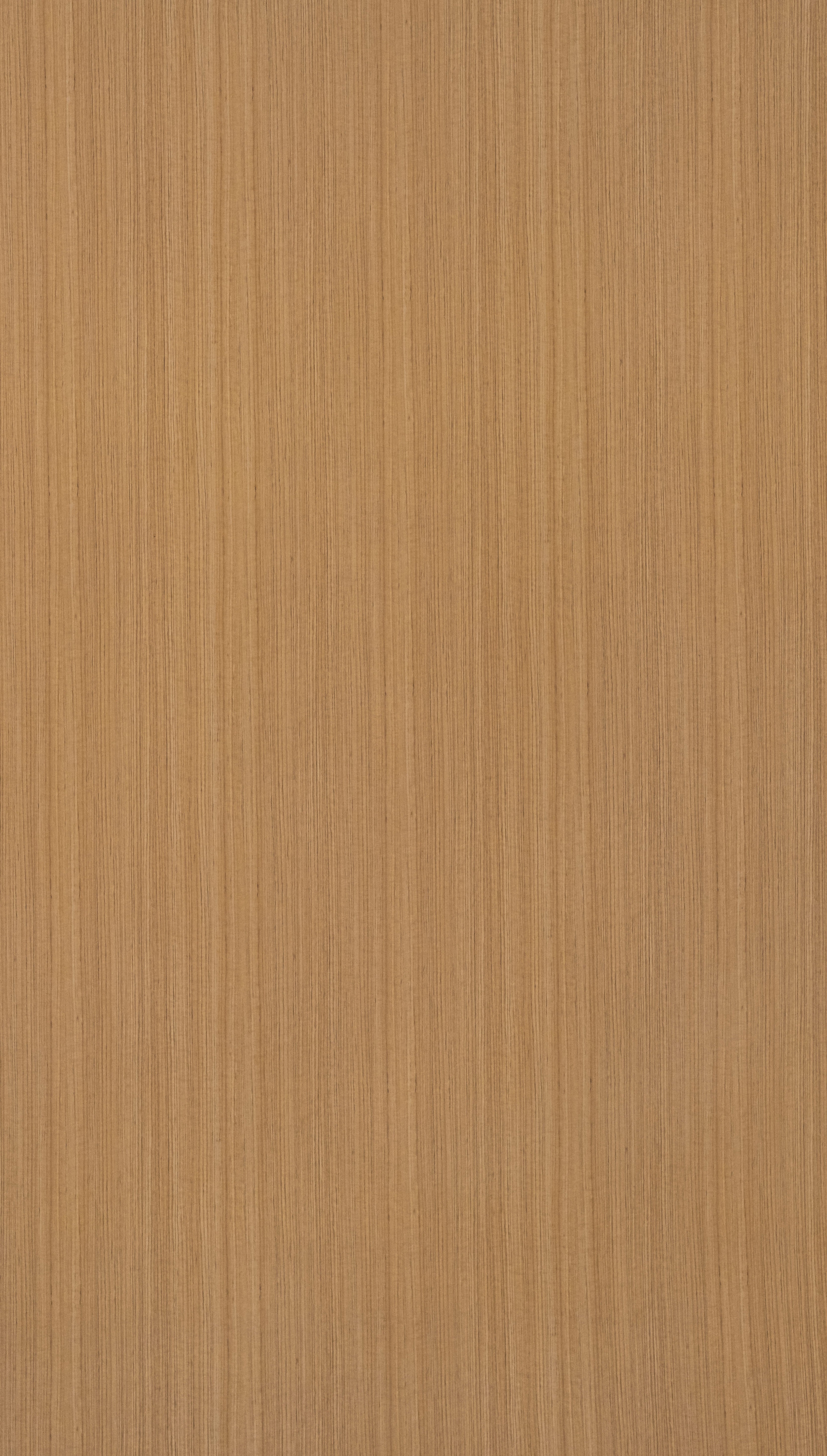 Thai Teak Beige Wood Texture Laminate - Stylam