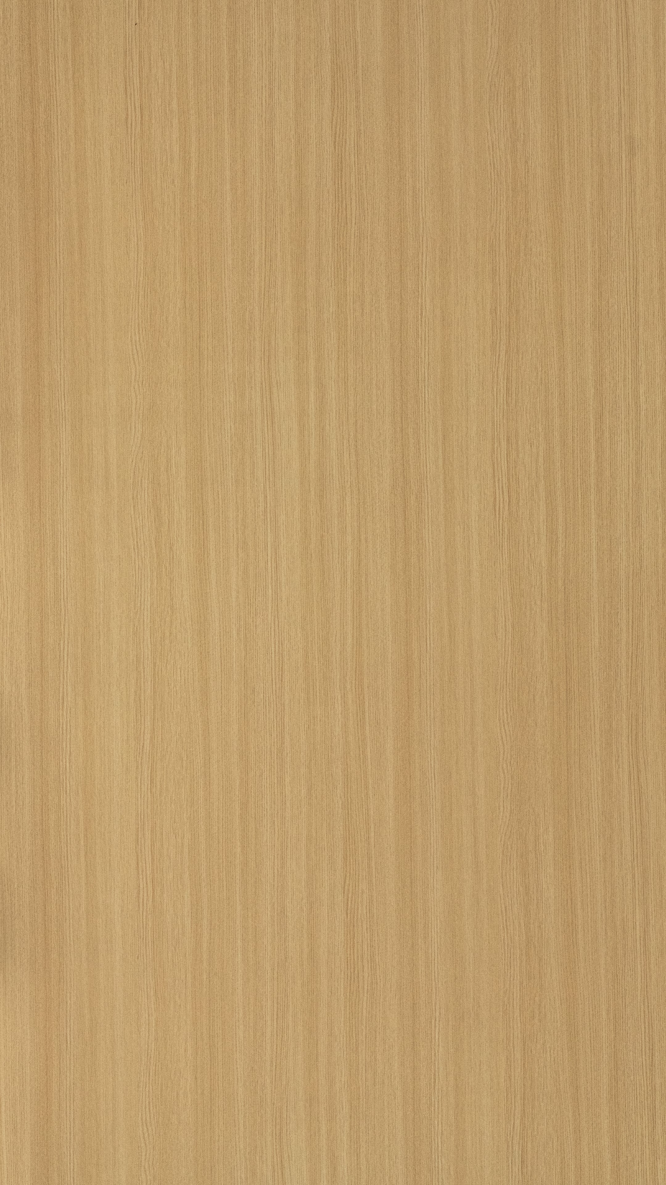 Indian Oak Beige Wood Texture Laminate - Stylam