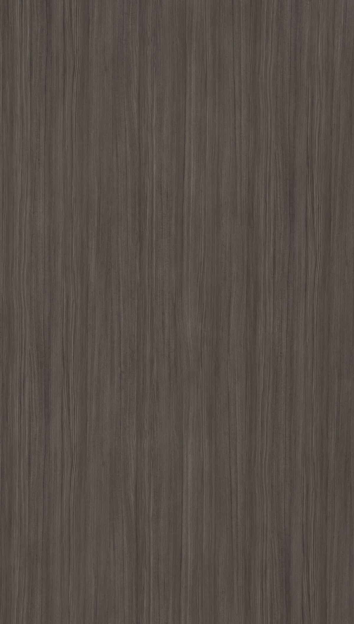 Baabul Pine Grey Texture Laminate 4x8 ft | Stylam – Next Level Decor ...