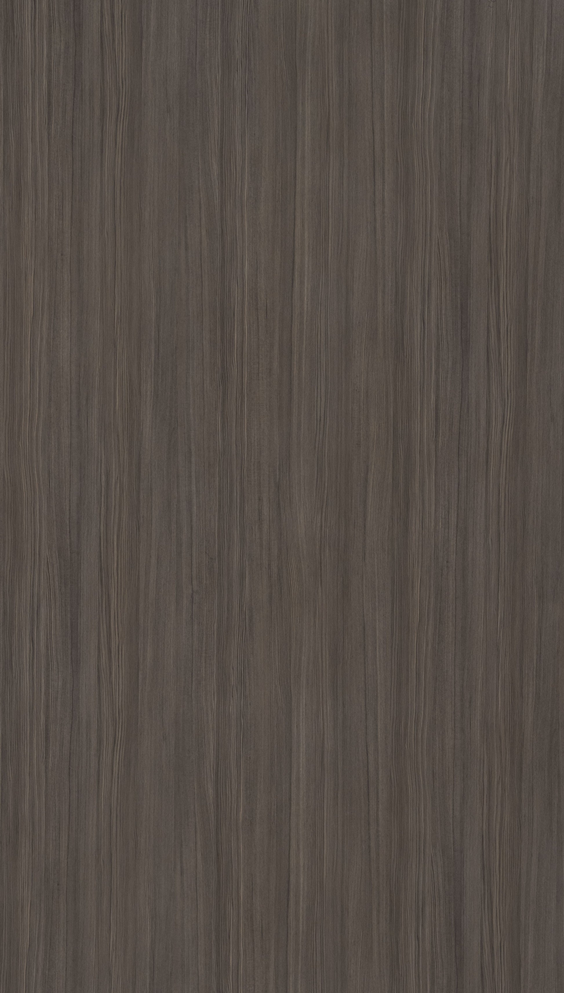 Baabul Pine Grey Wood Texture Laminate - Stylam