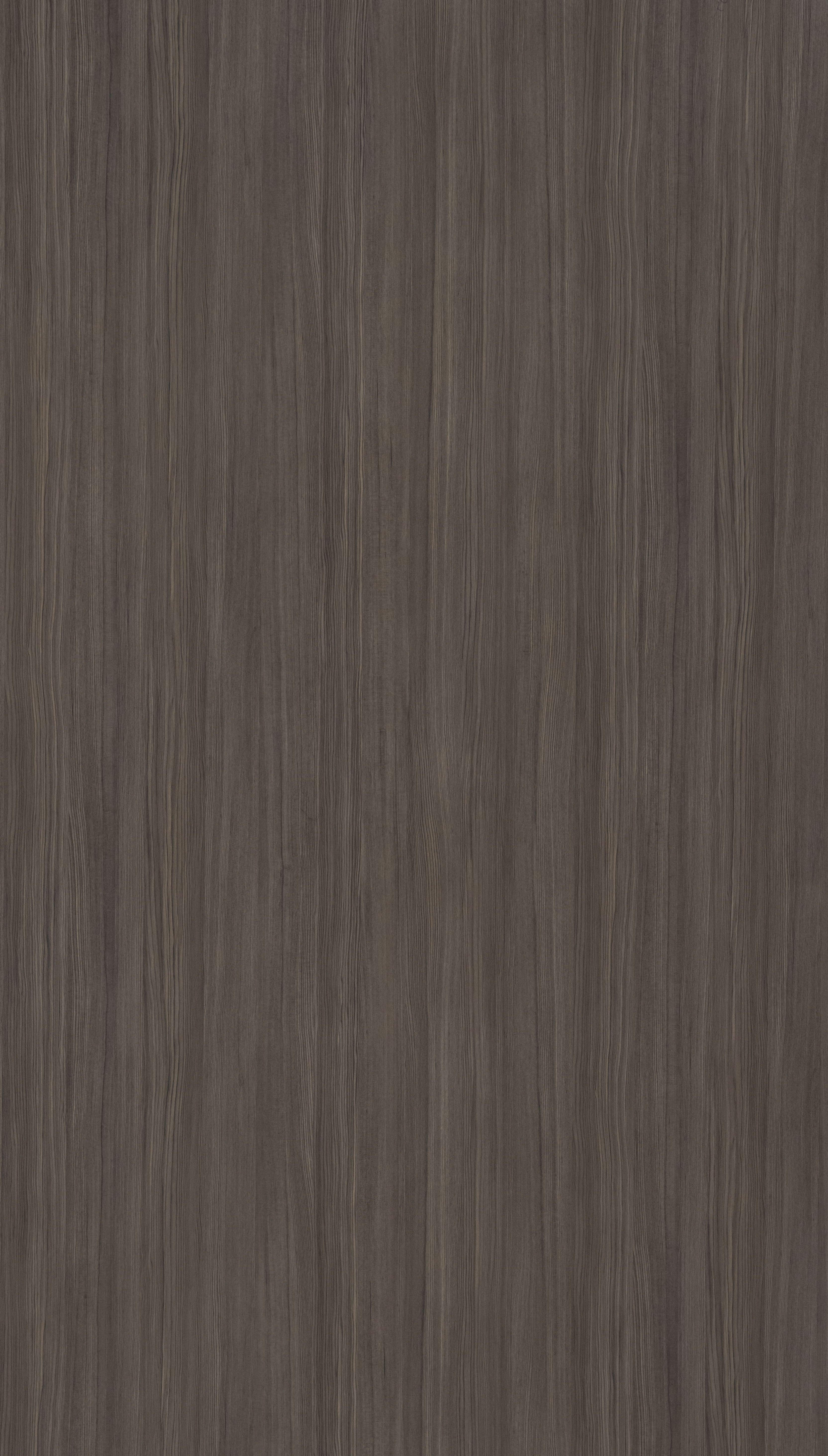 Baabul Pine Grey Wood Texture Laminate - Stylam