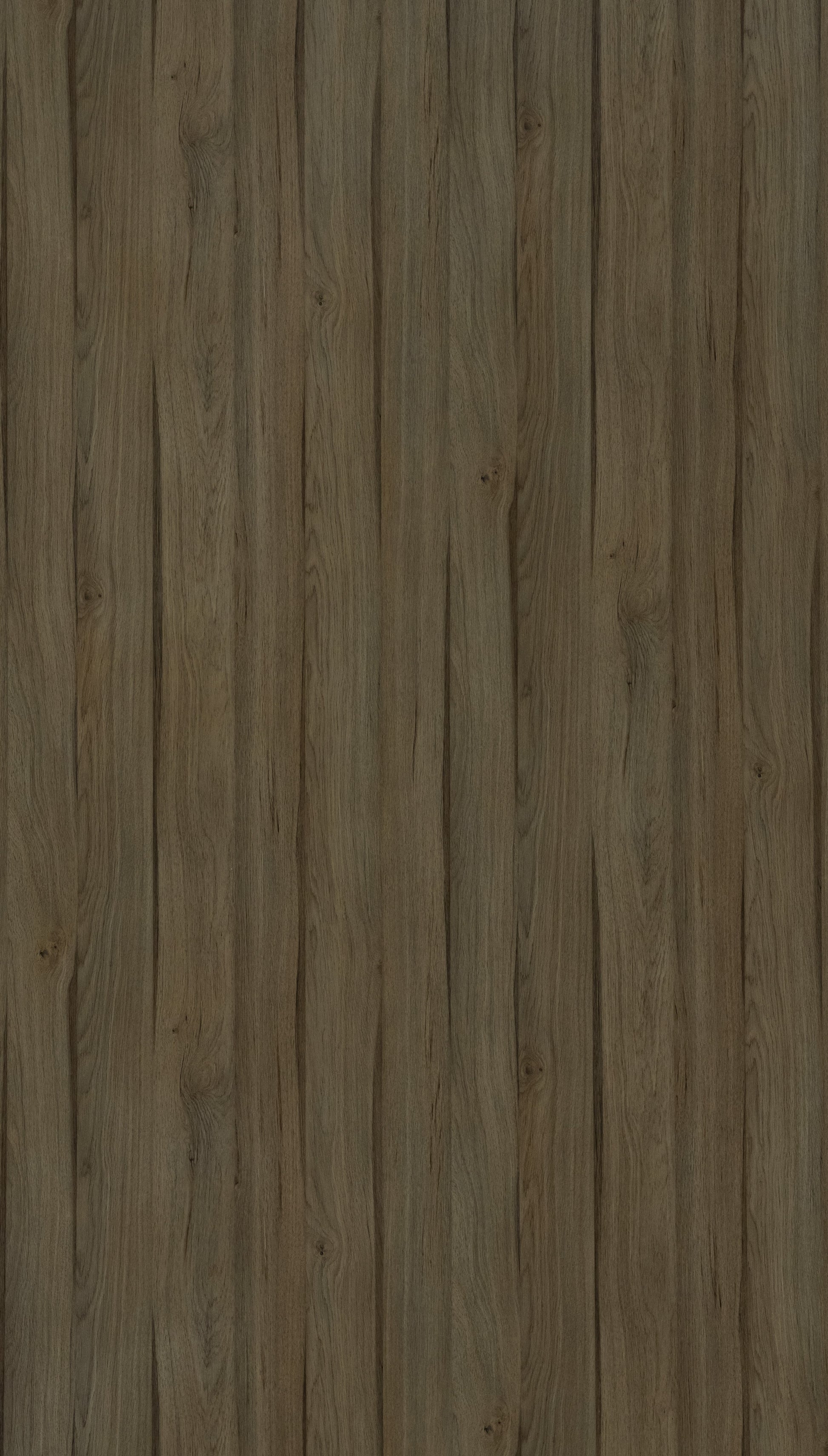 Brentwood Sandy Grey Wood Texture Laminate - Stylam