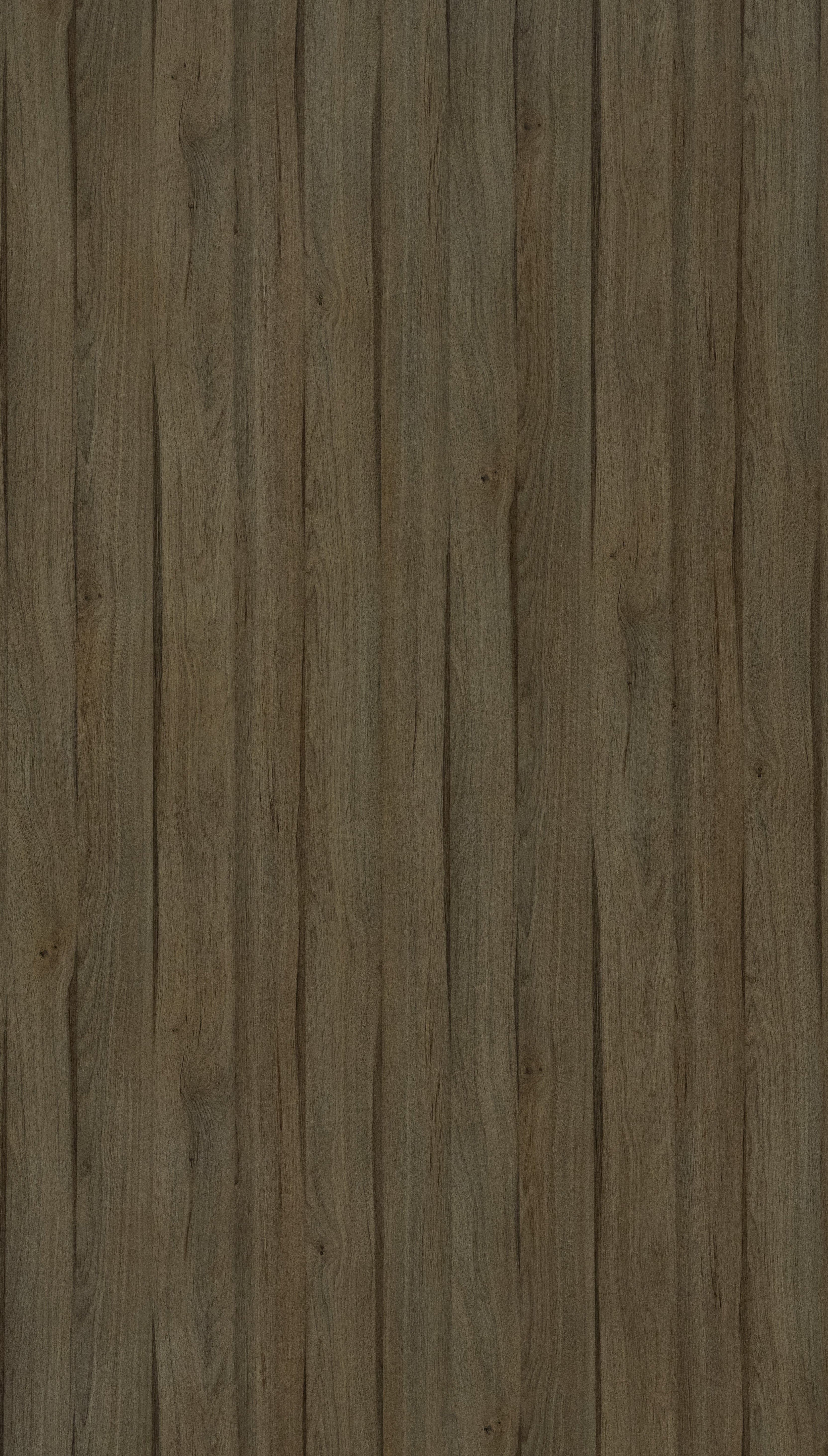 Brentwood Sandy Grey Wood Texture Laminate - Stylam