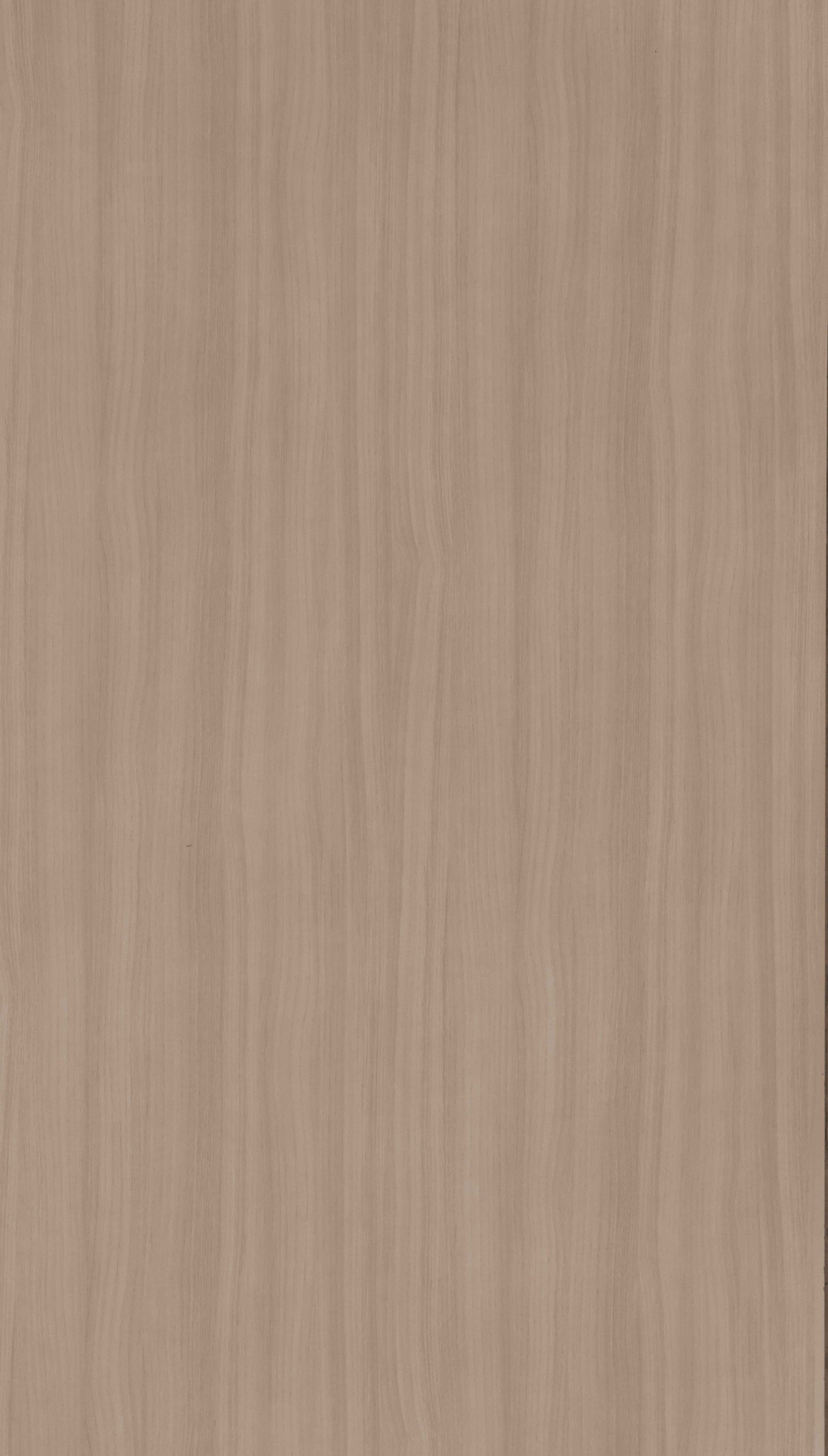 Light Fumed Beige Wood Texture Laminate - Stylam