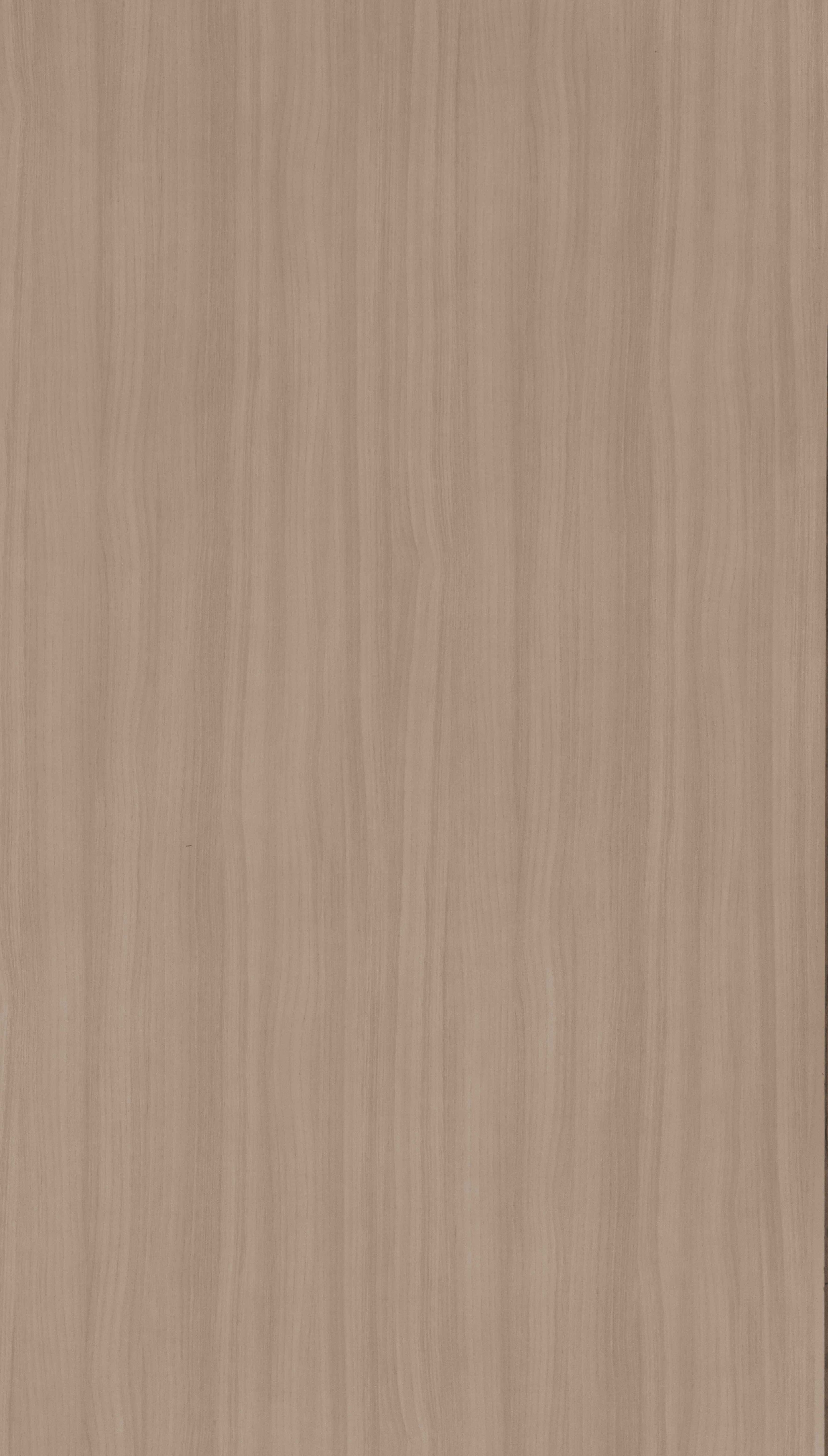 Light Fumed Beige Wood Texture Laminate - Stylam