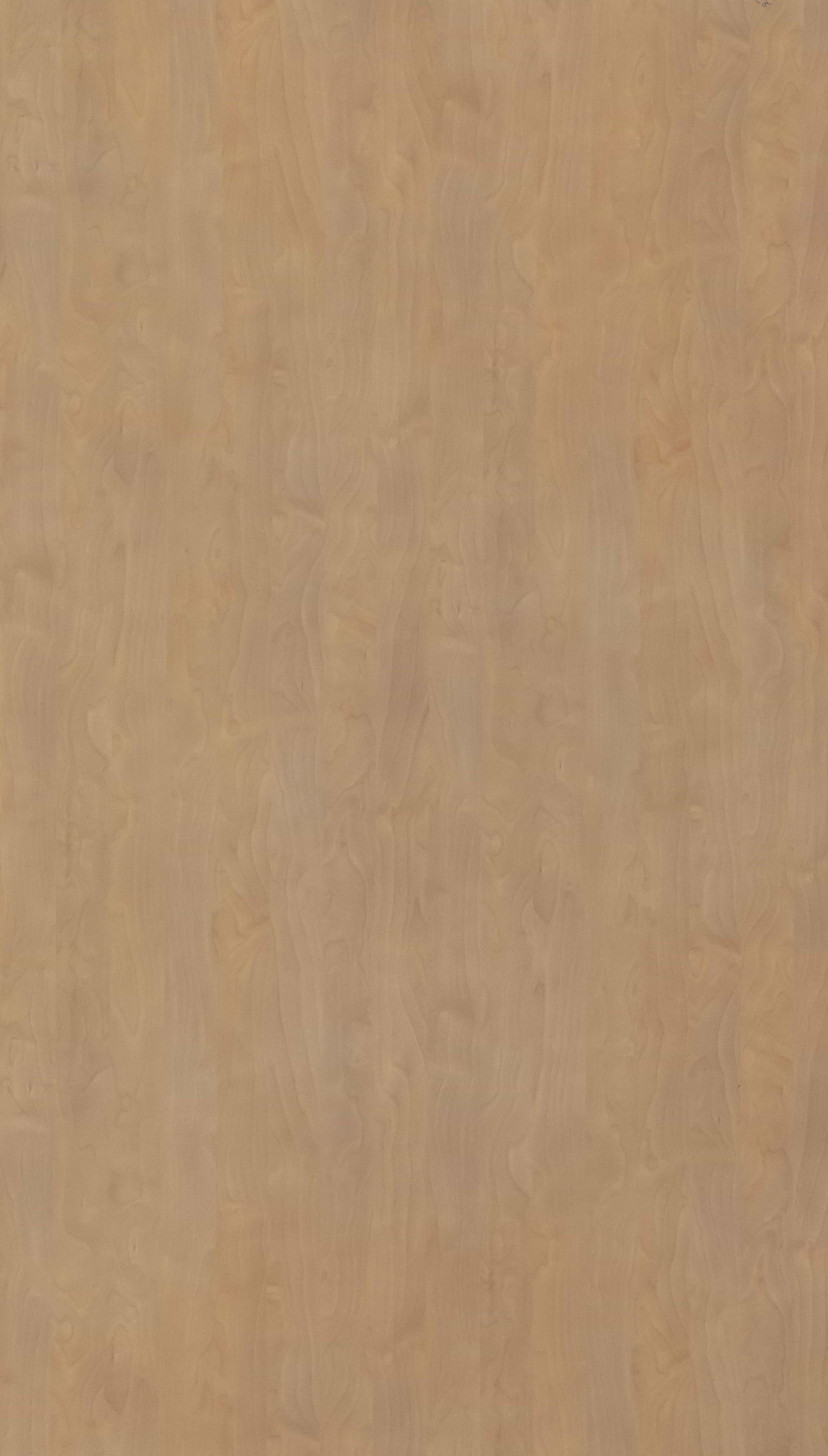 Polar Birch Beige Wood Texture Laminate - Stylam
