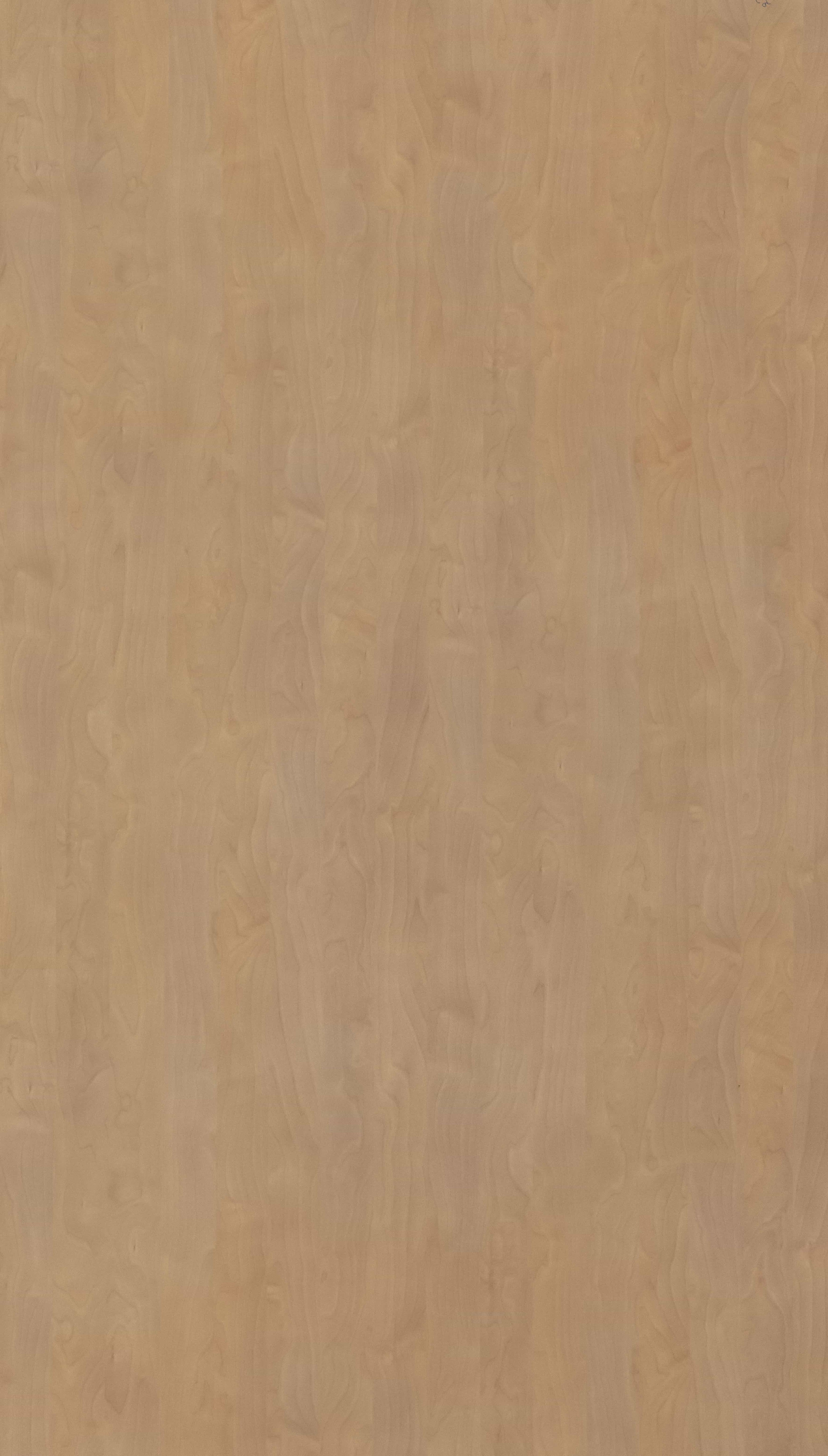 Polar Birch Beige Wood Texture Laminate - Stylam