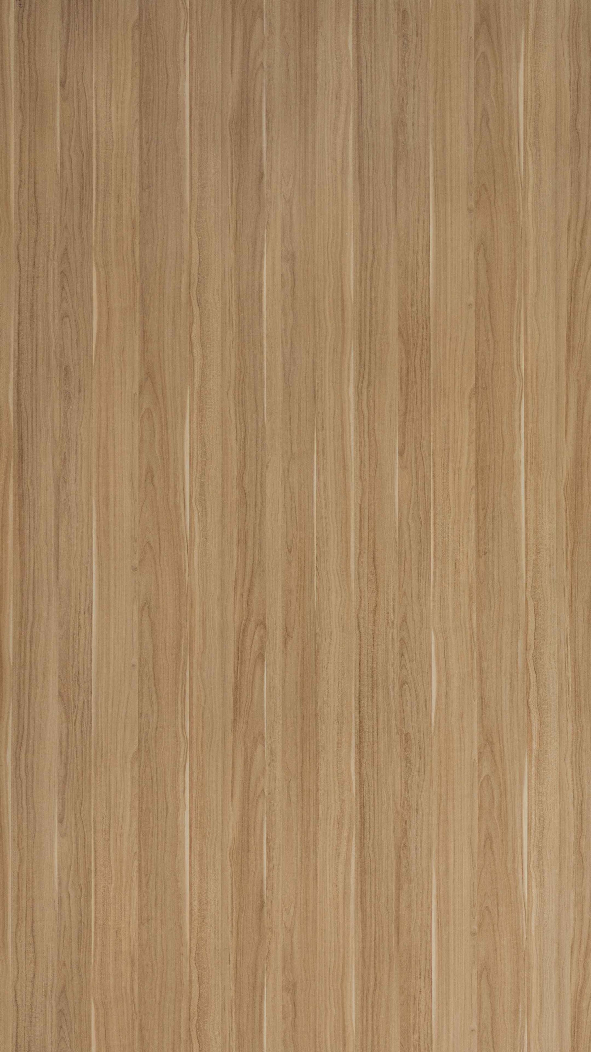 Curley Maple Beige Wood Texture Laminate - Stylam