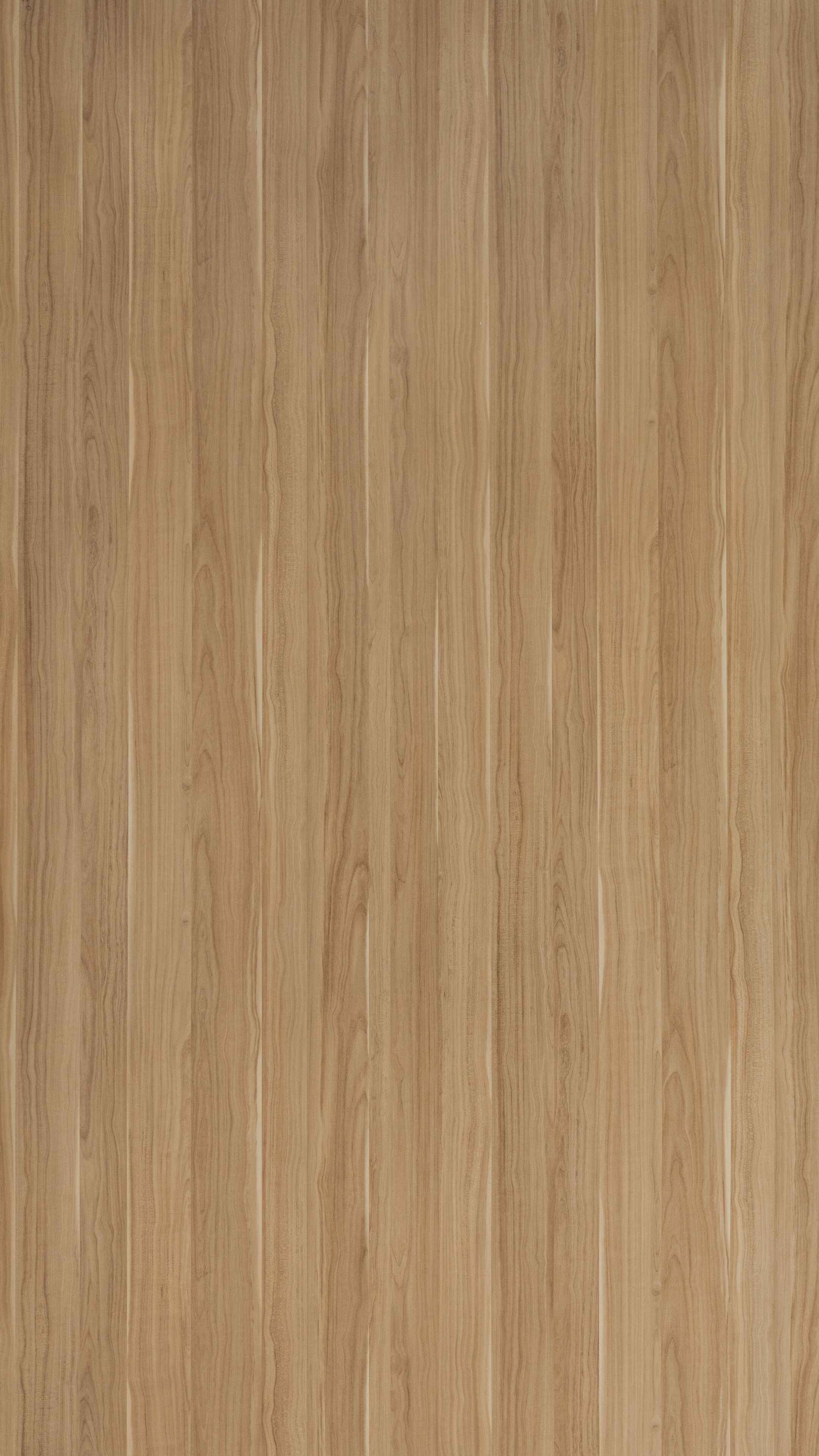 Curley Maple Beige Wood Texture Laminate - Stylam