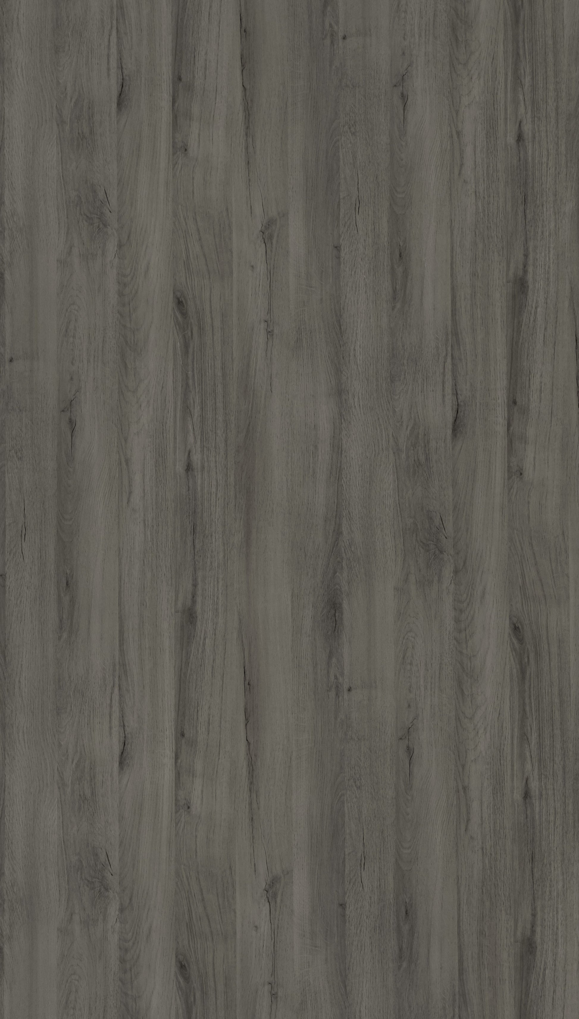 Albizia Light Grey Wood Texture Laminate - Stylam