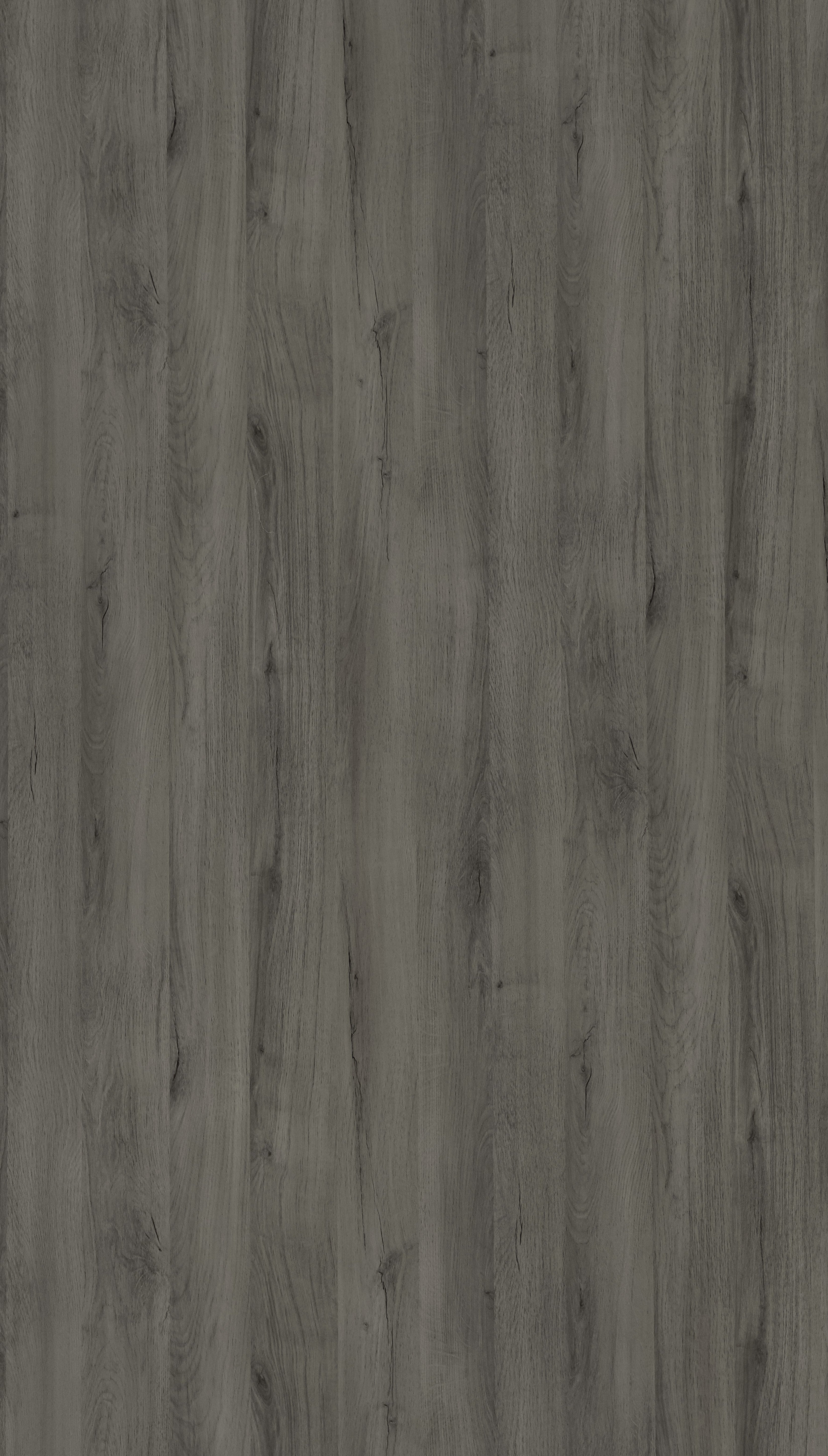 Albizia Light Grey Wood Texture Laminate - Stylam