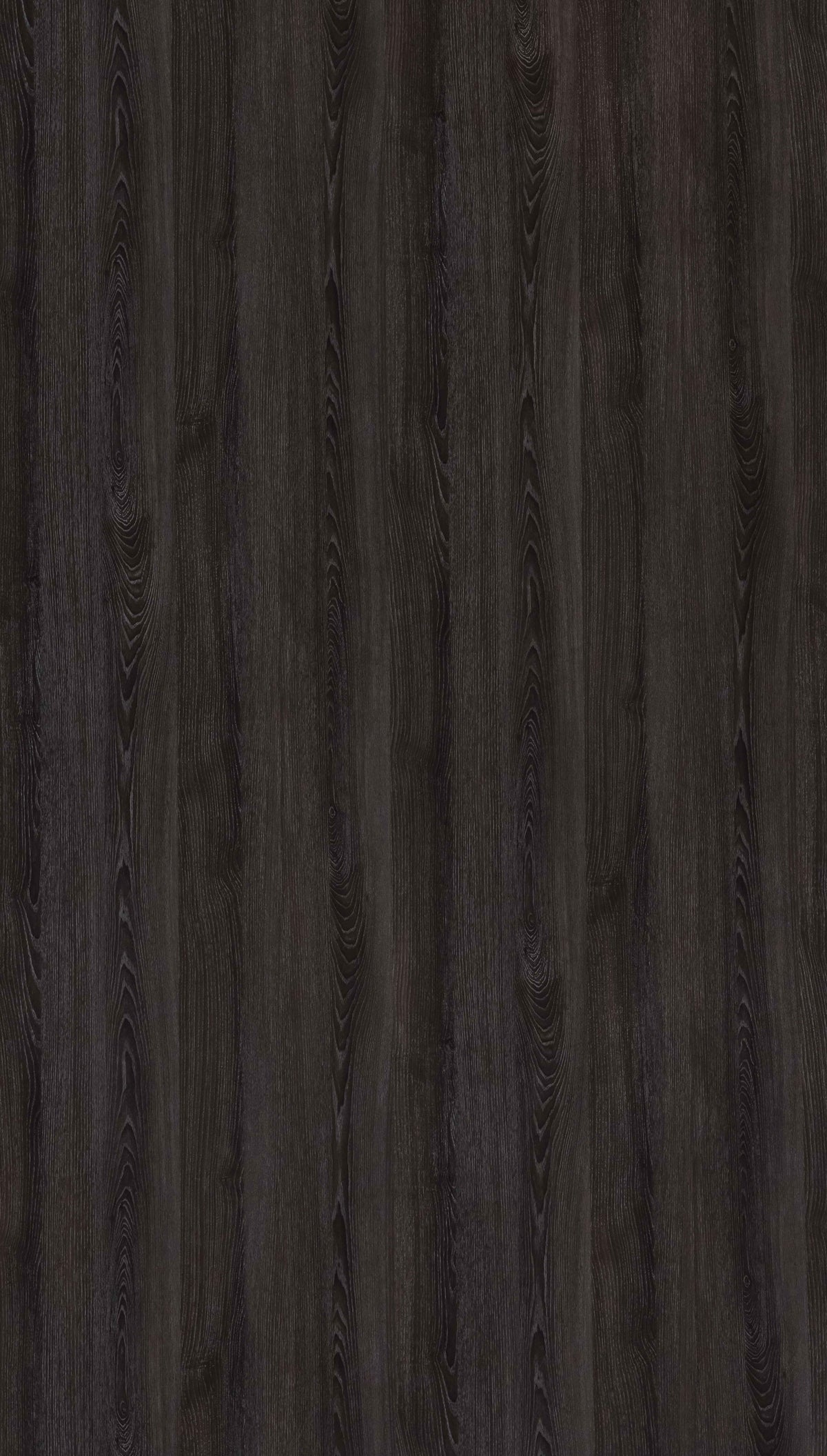 Cosmic Feather Black Texture Laminate | Stylam – Next Level Decor Chennai