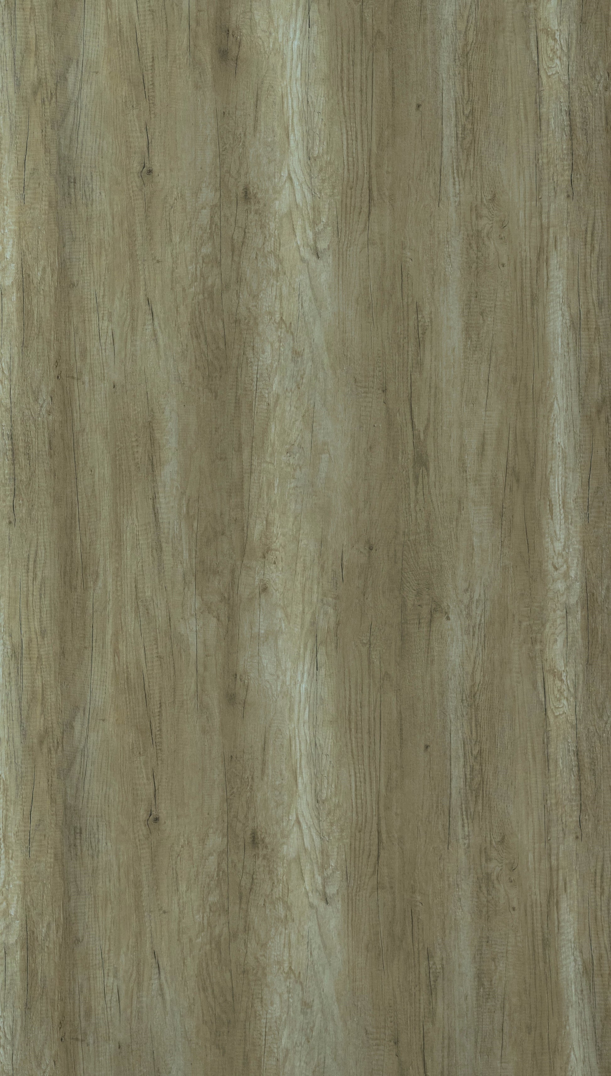 Cetus Walnut Grey Wood Texture Laminate - Stylam