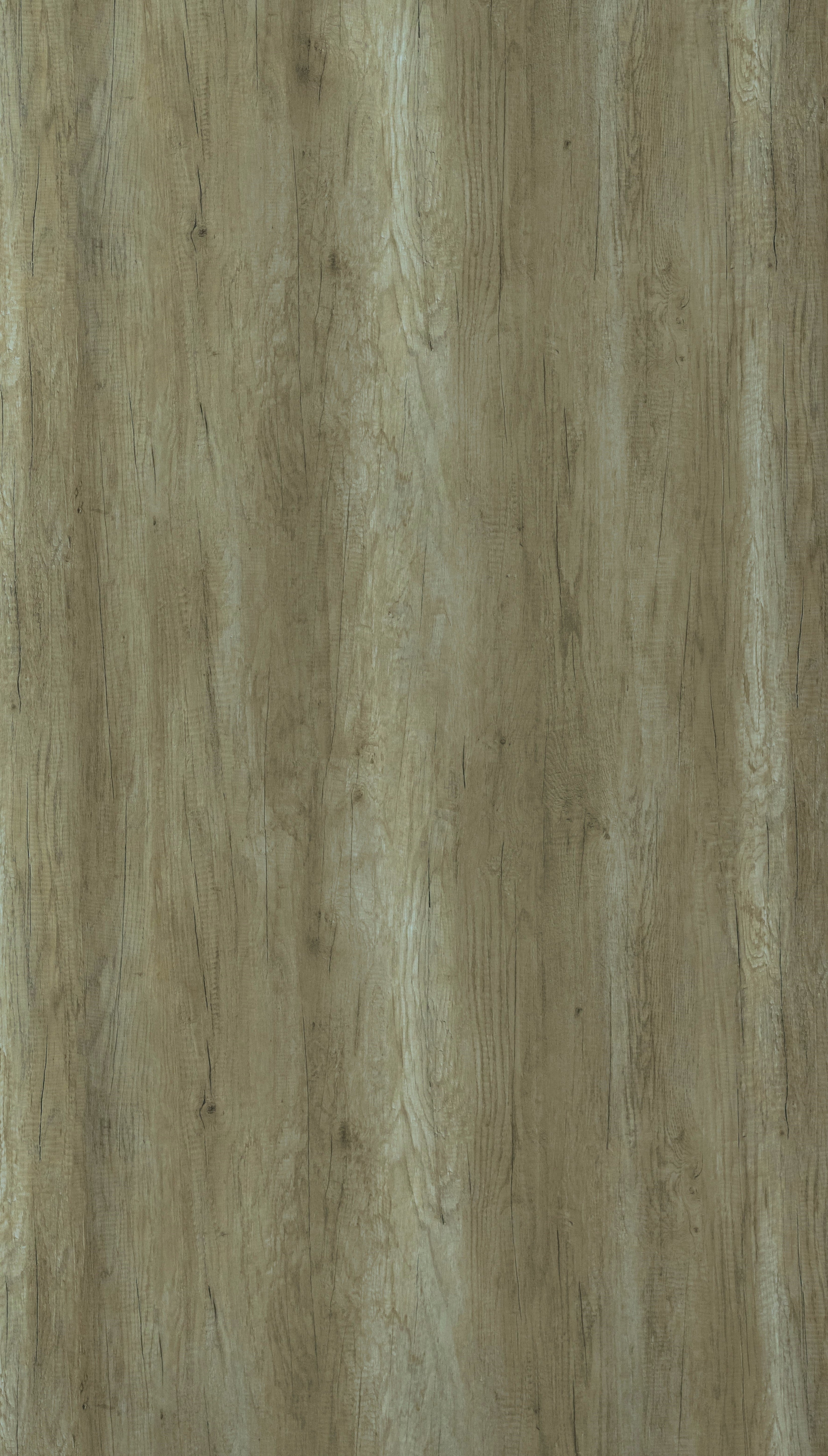 Cetus Walnut Grey Wood Texture Laminate - Stylam