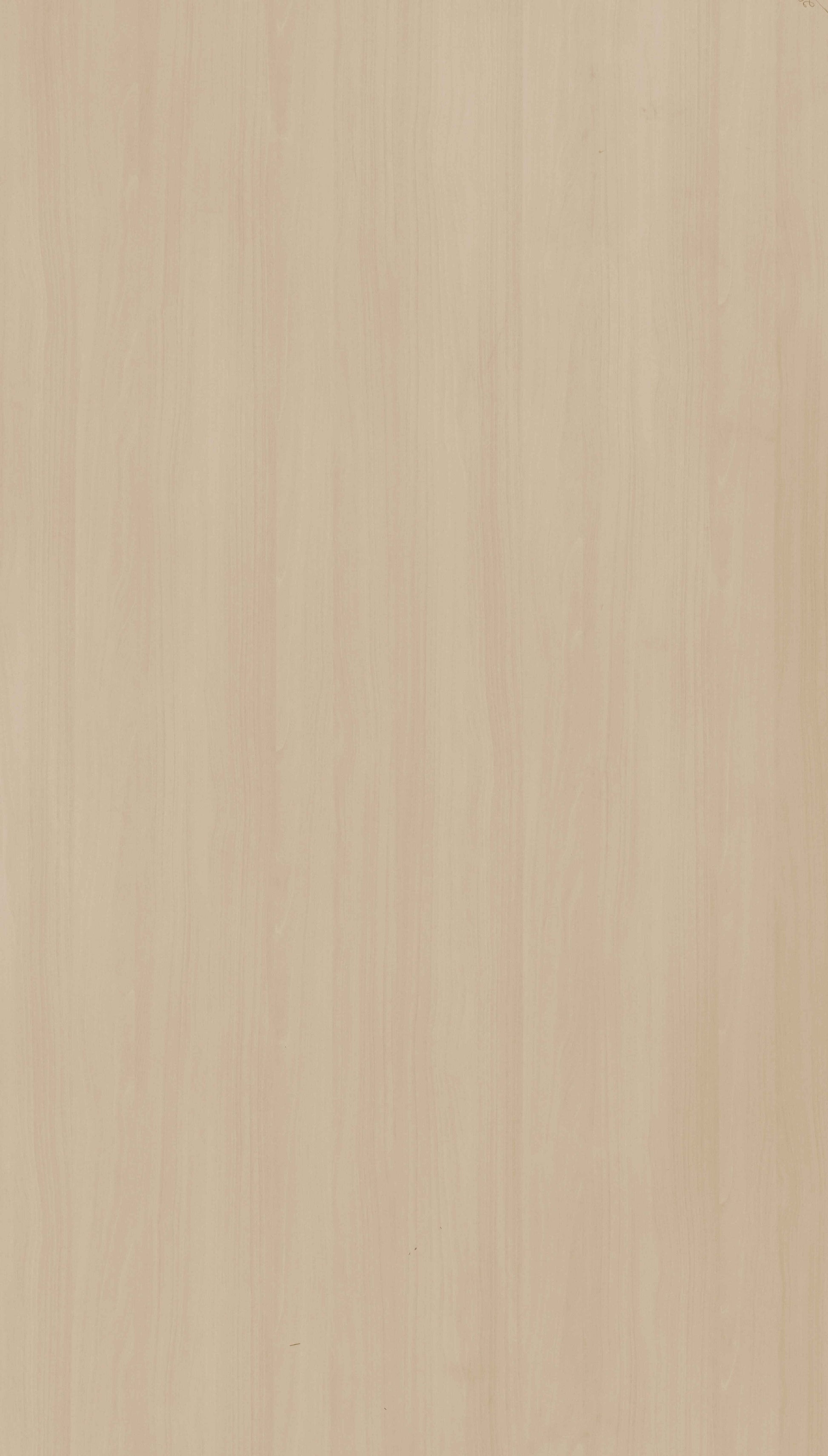 Light Teak Grain Beige Wood Texture Laminate - Stylam