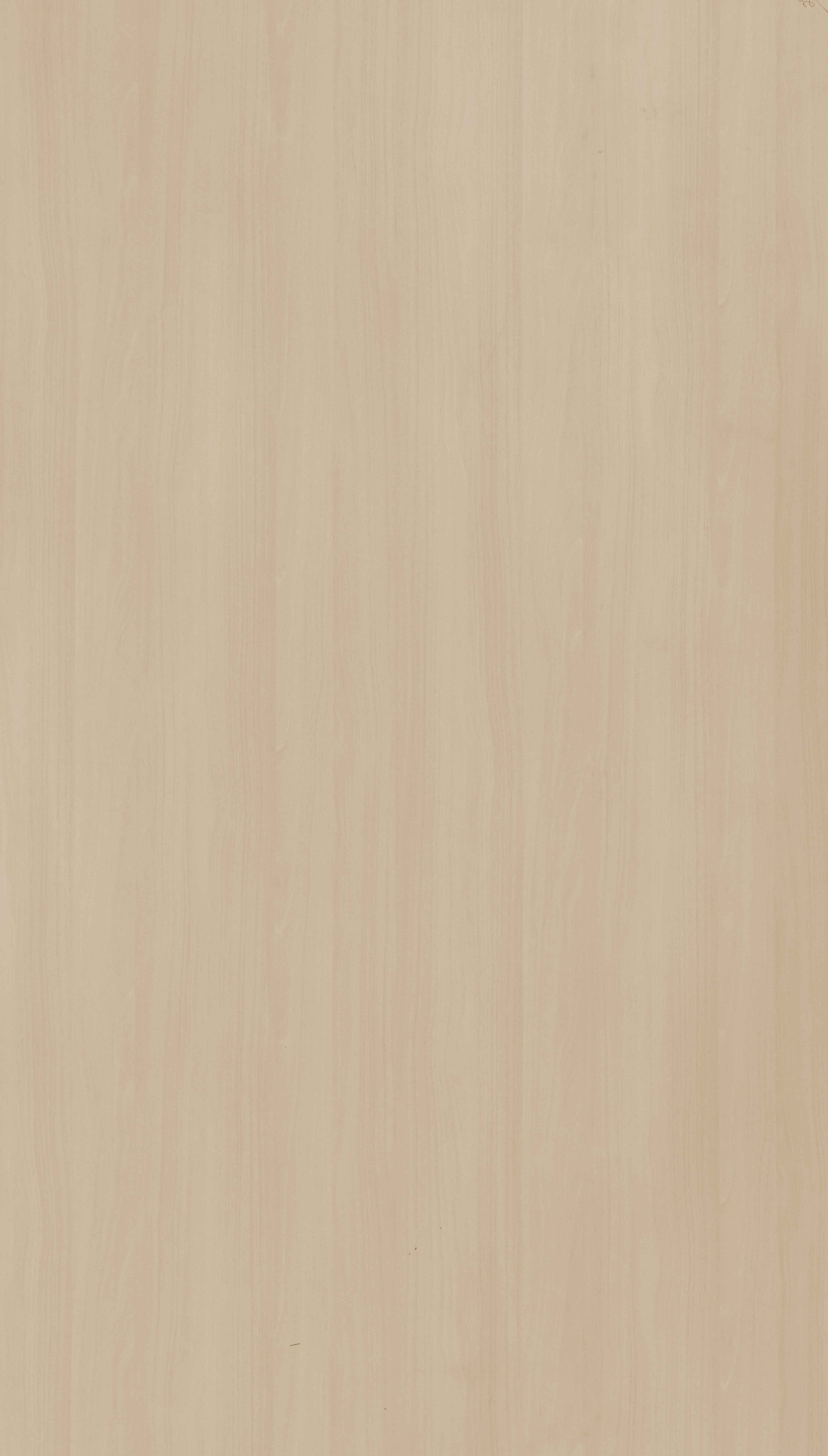 Light Teak Grain Beige Wood Texture Laminate - Stylam