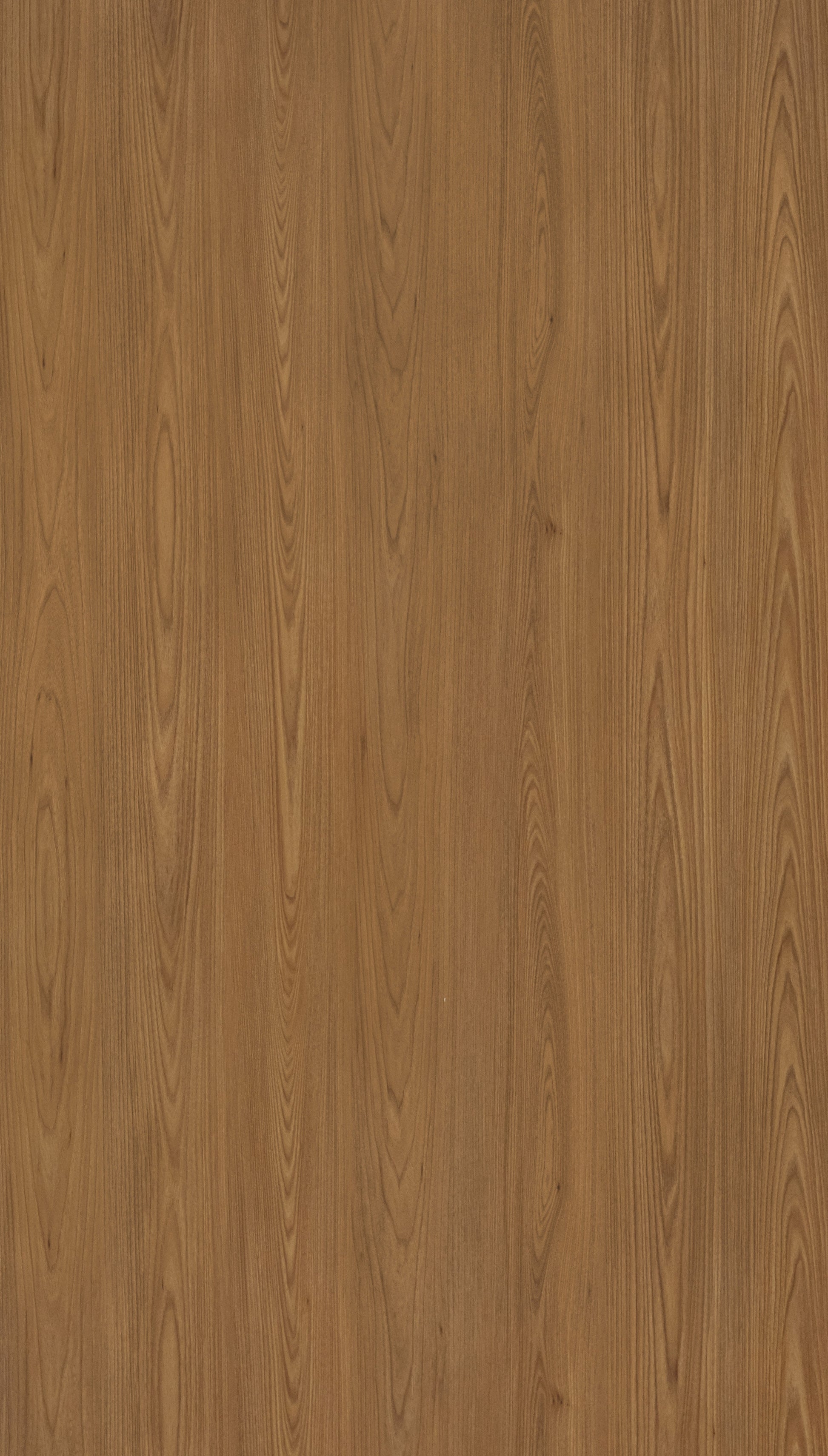 Ayon Dark Walnut Brown Wood Texture Laminate - Stylam