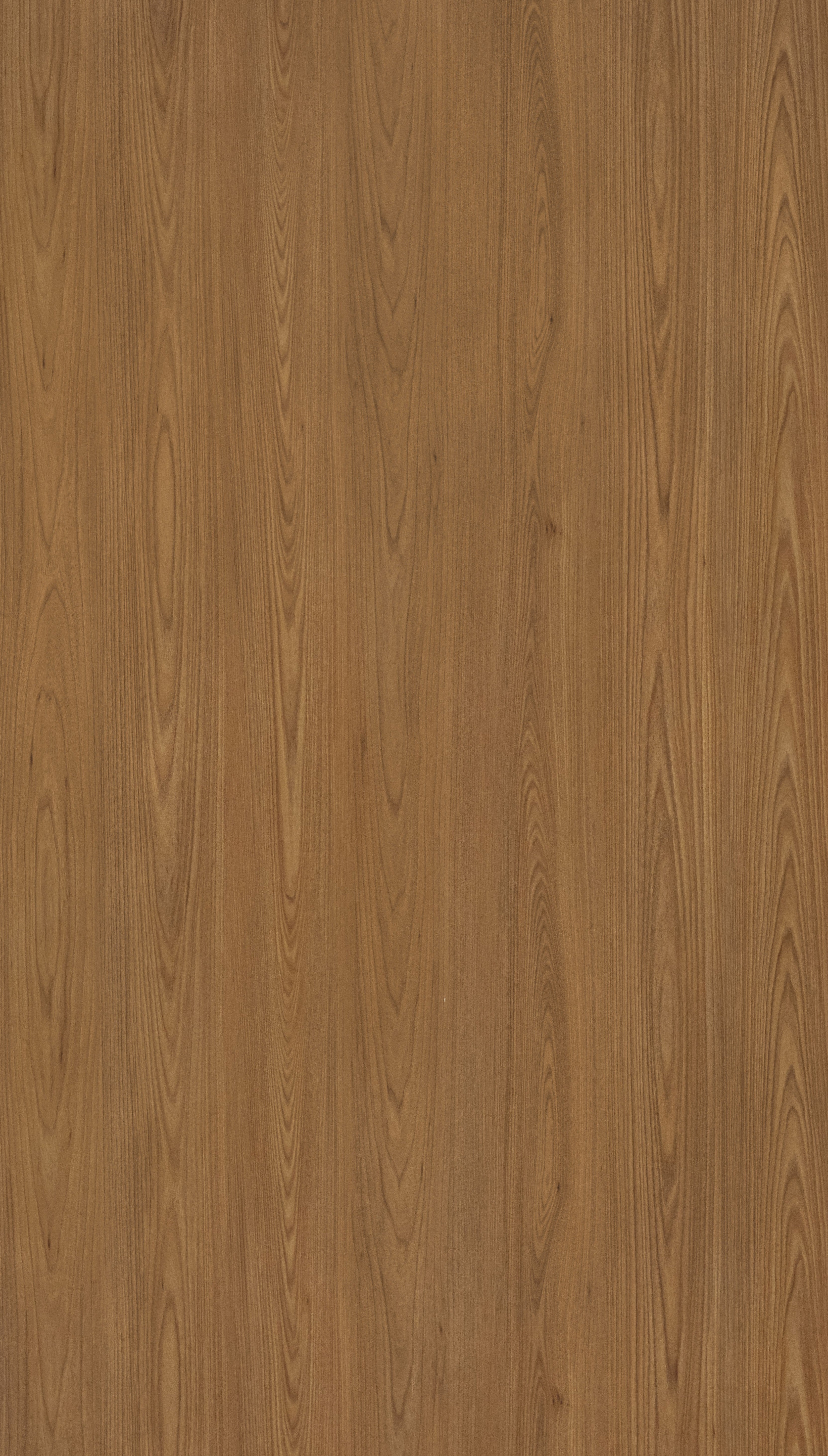 Ayon Dark Walnut Brown Wood Texture Laminate - Stylam