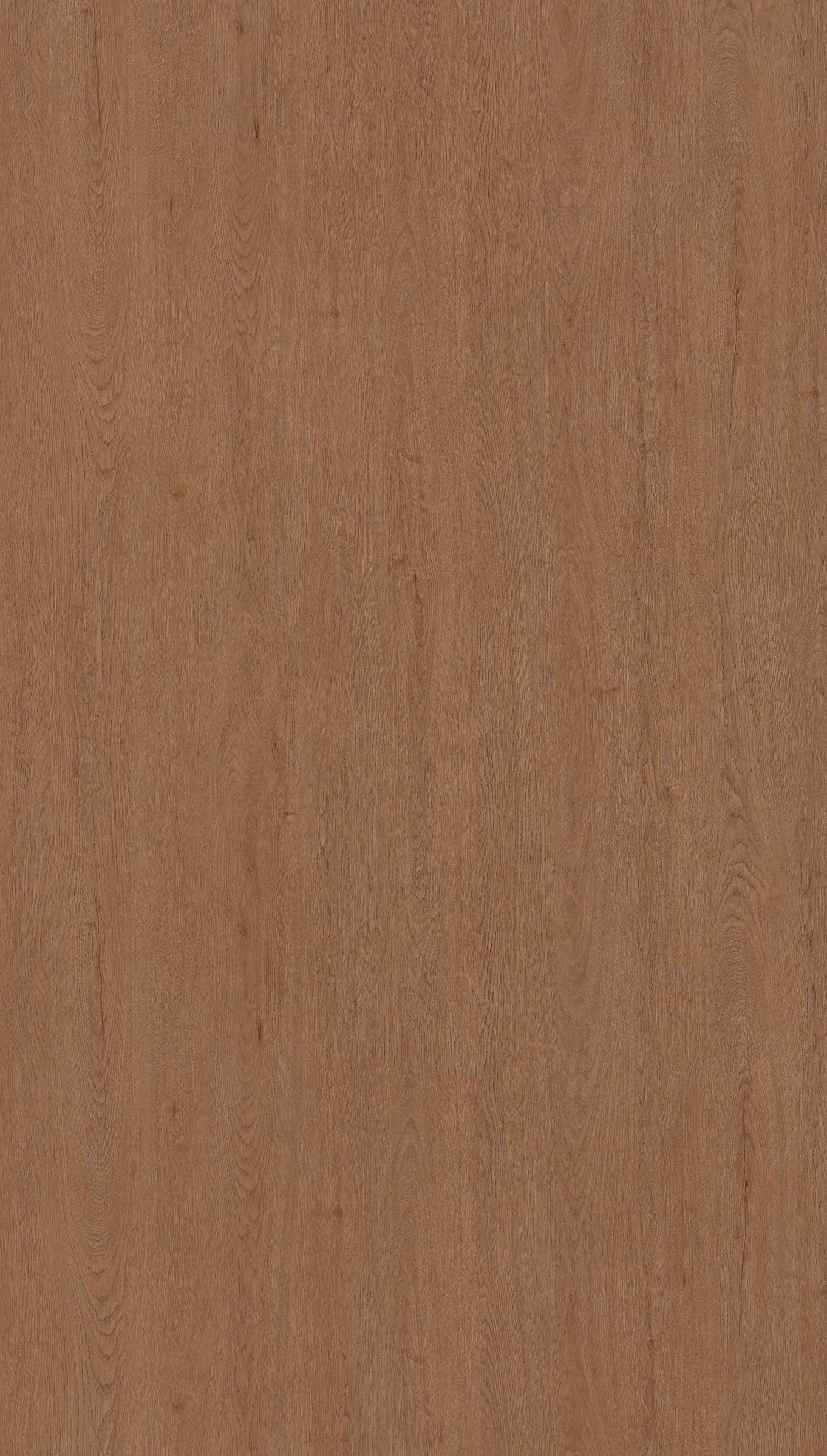 Slovenian Pale Brown Wood Texture Laminate - Stylam