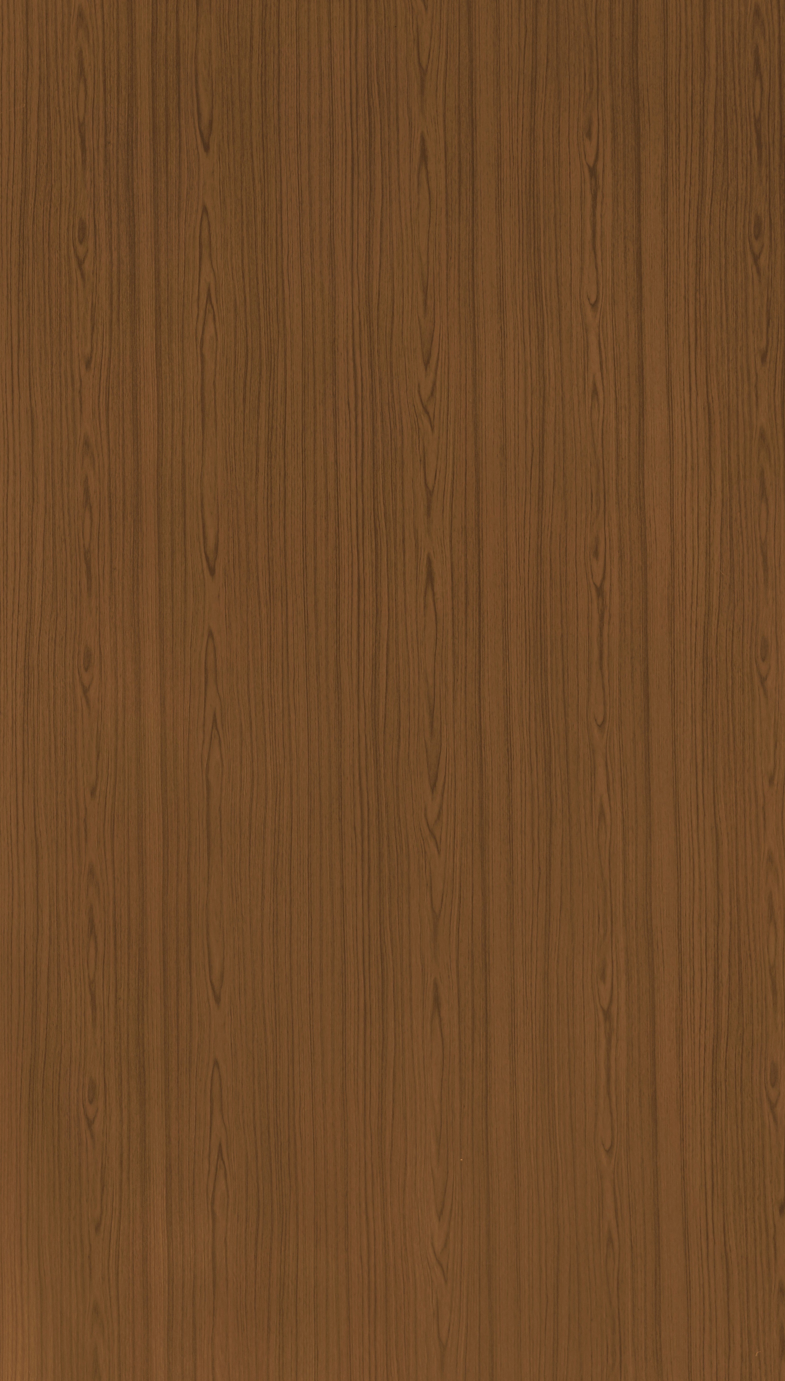 Naina Teak Brown Wood Texture Laminate - Stylam