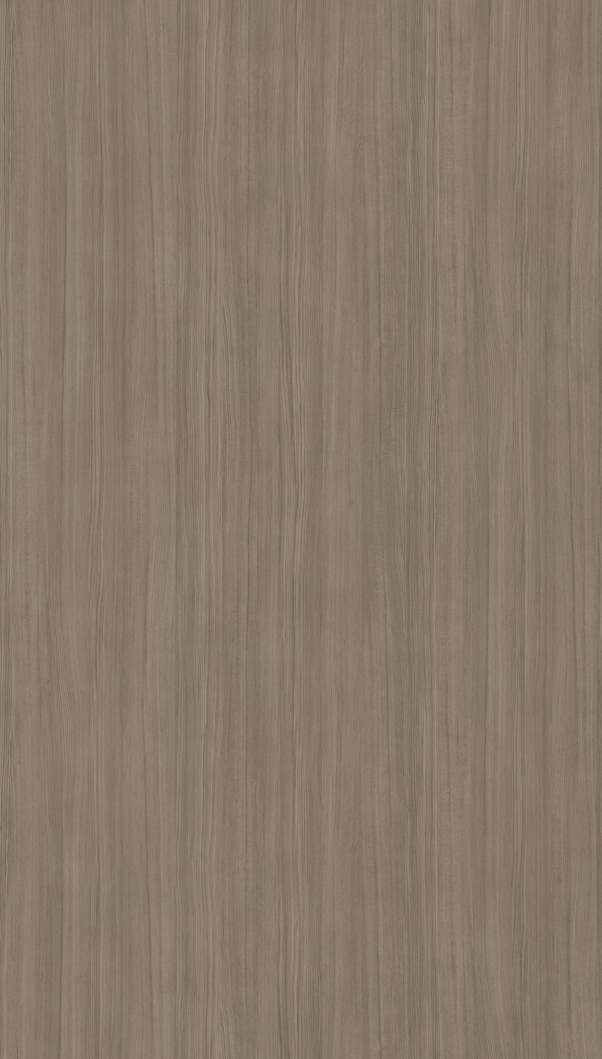 Elite Grains Beige Wood Texture Laminate - Stylam