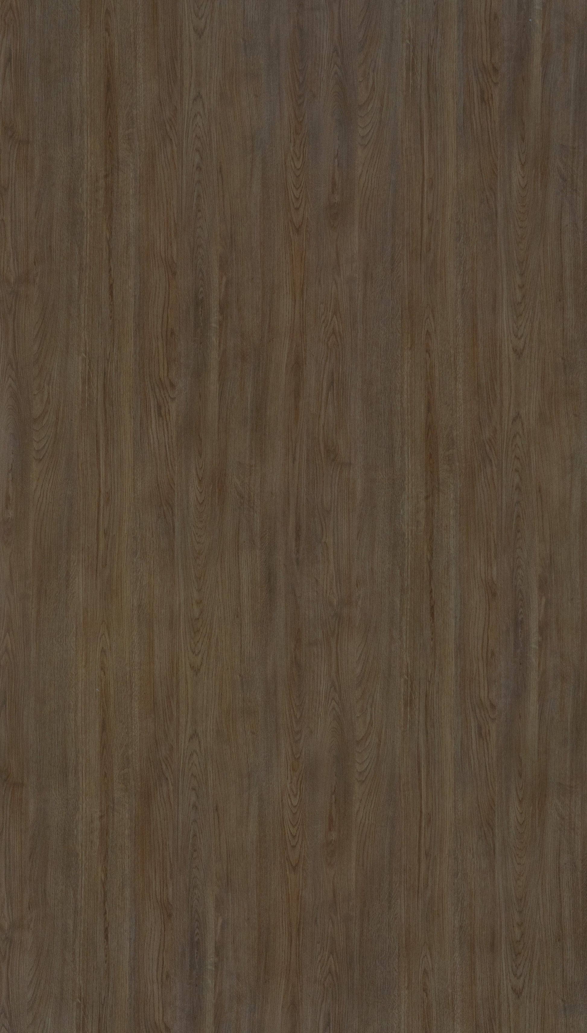 Amberes Oak Beige Wood Texture Laminate - Stylam
