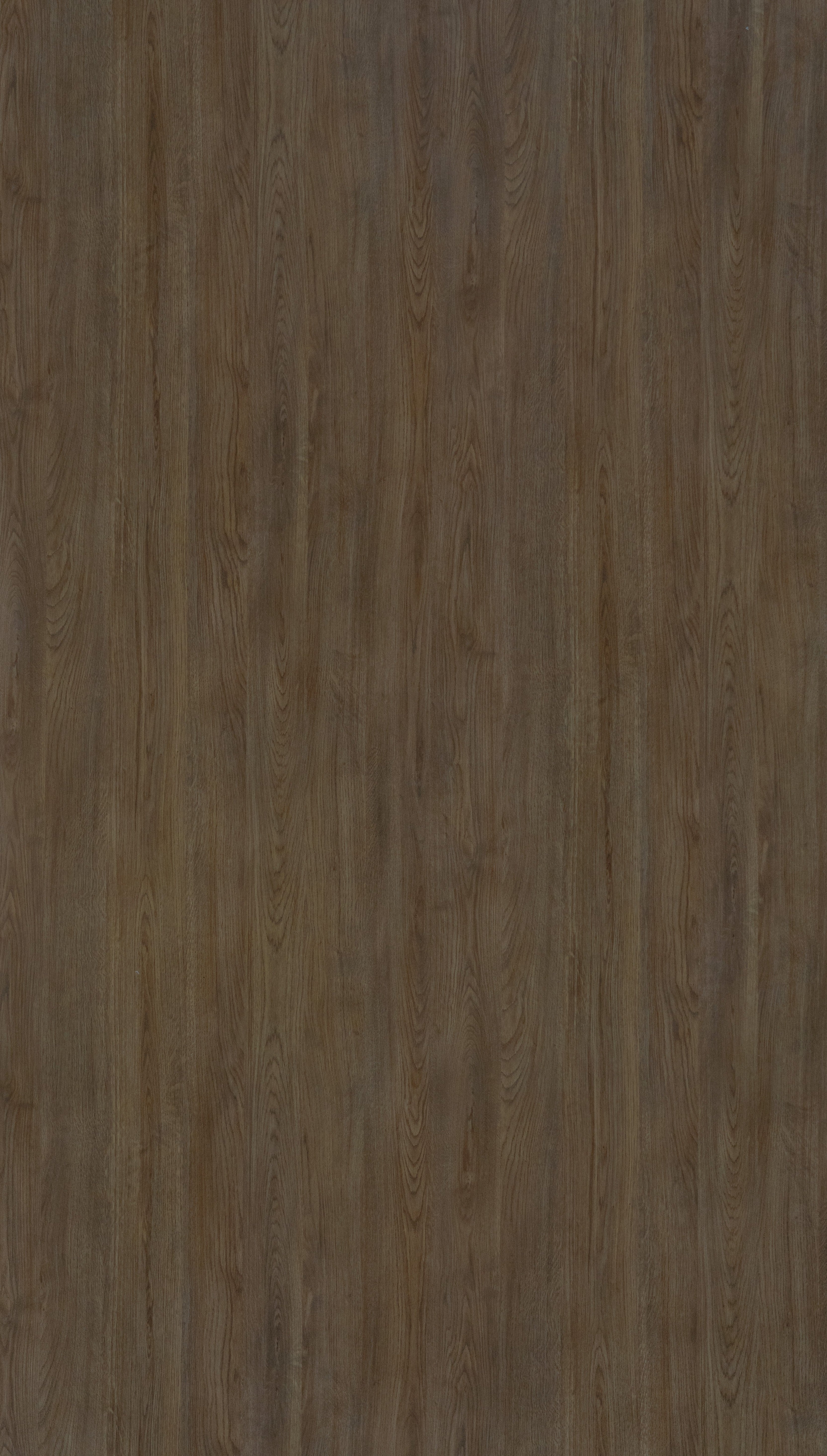 Amberes Oak Beige Wood Texture Laminate - Stylam
