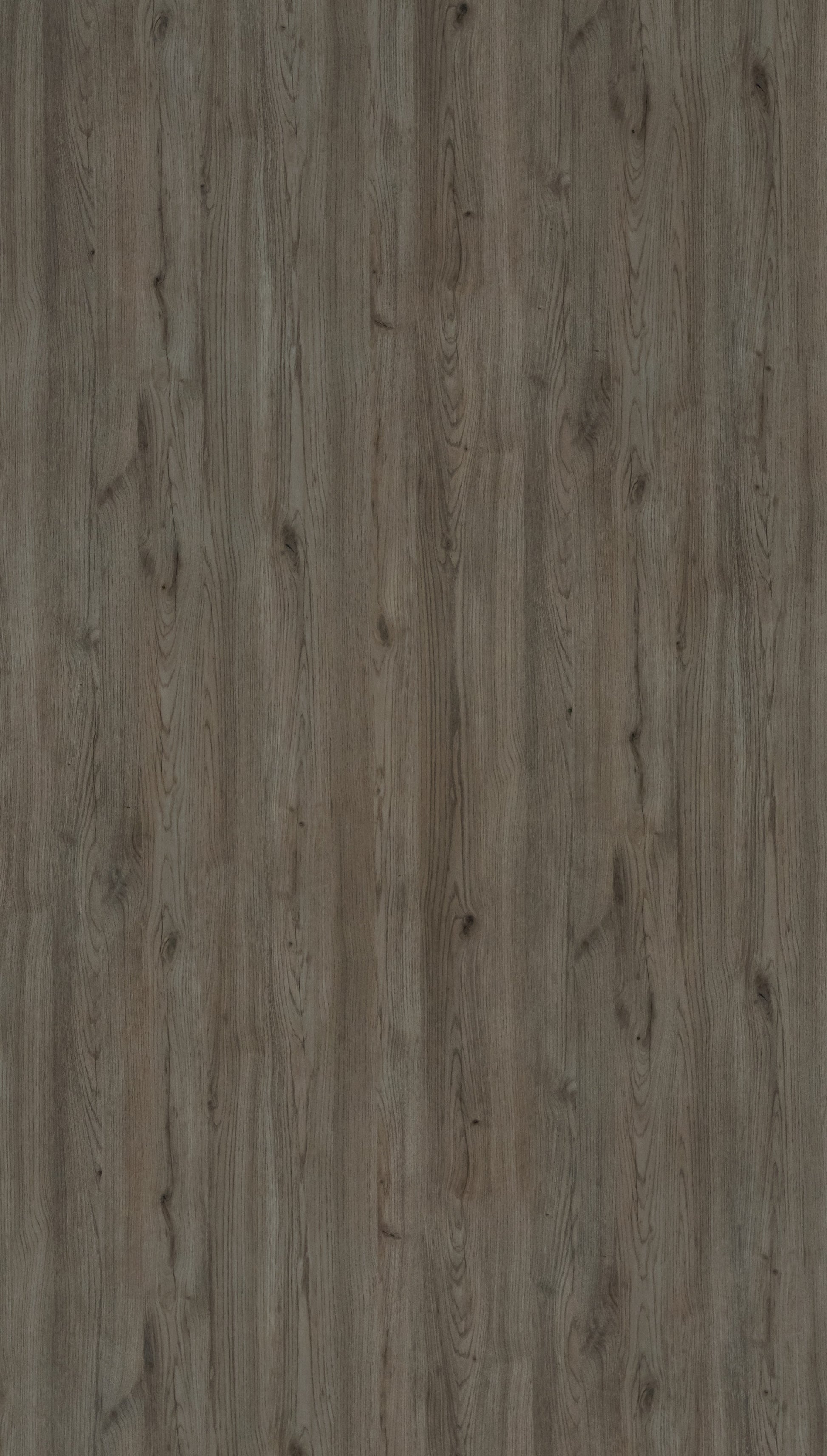 Amalfi Beige Oak Grey Wood Texture Laminate - Stylam