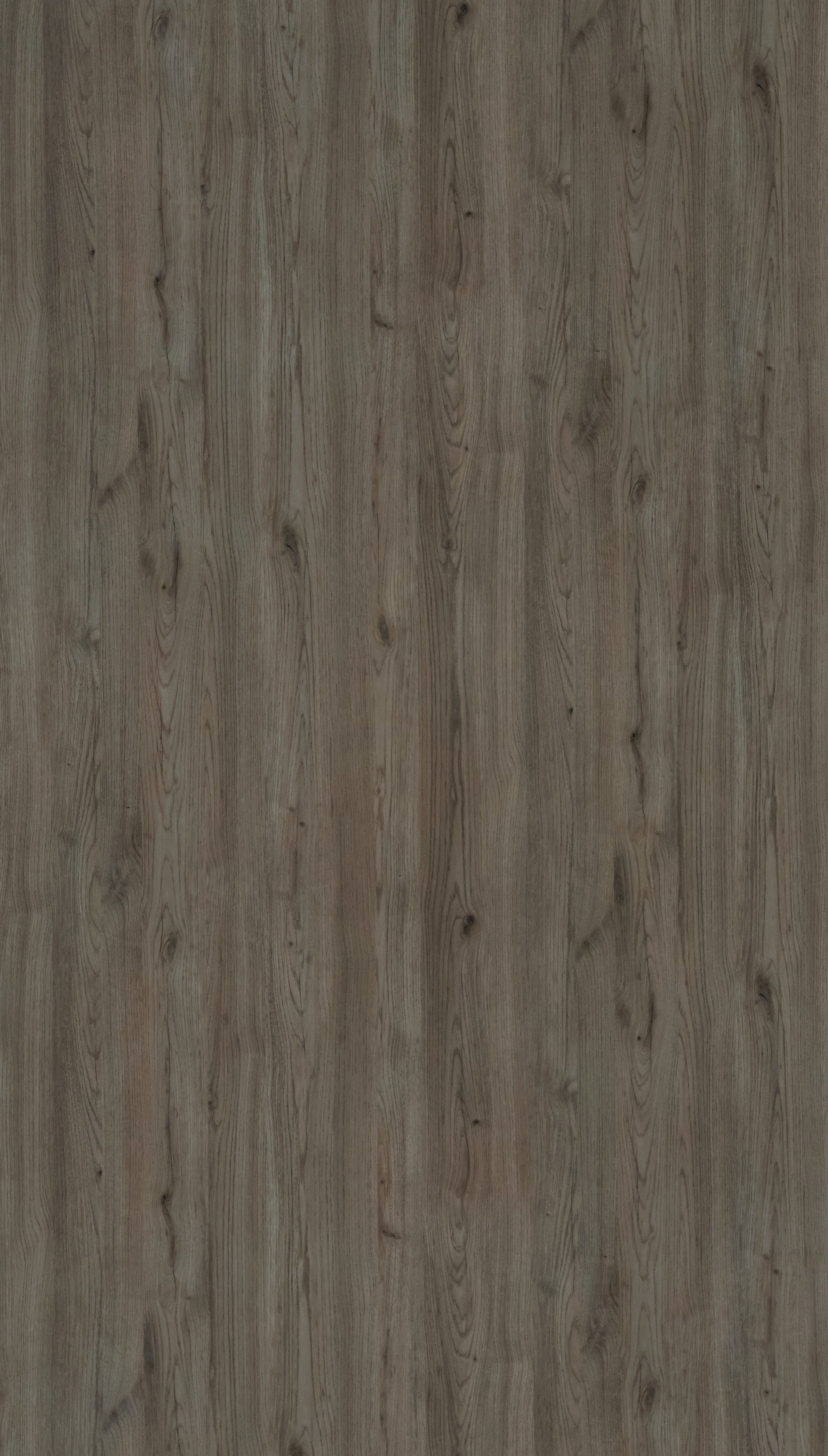 Amalfi Beige Oak Grey Wood Texture Laminate - Stylam