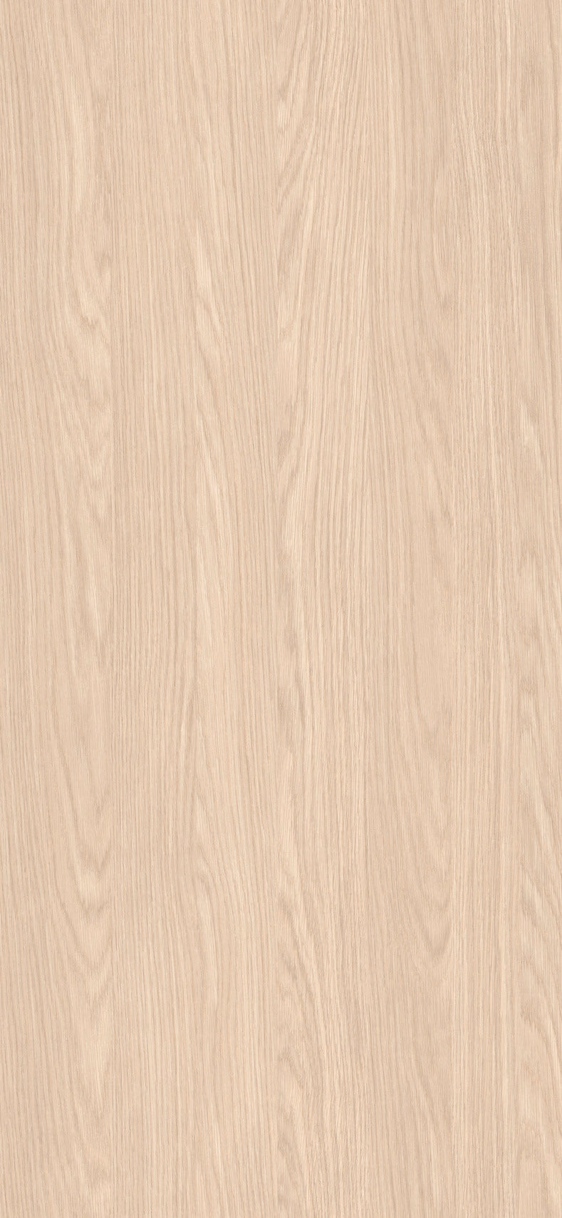 Beech Light Beige Wood Texture Laminate - Stylam
