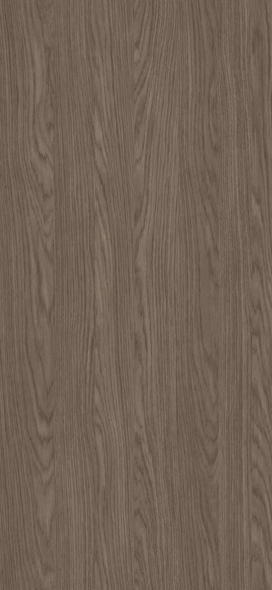 Earth Ash Brown Wood Texture Laminate - Stylam