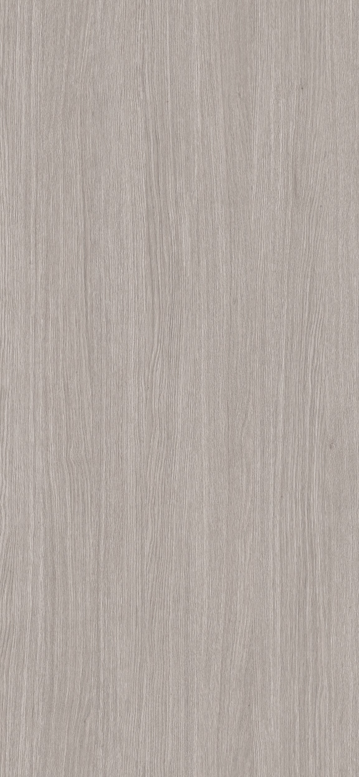 Silver Ash Grey Wood Texture Laminate - Stylam