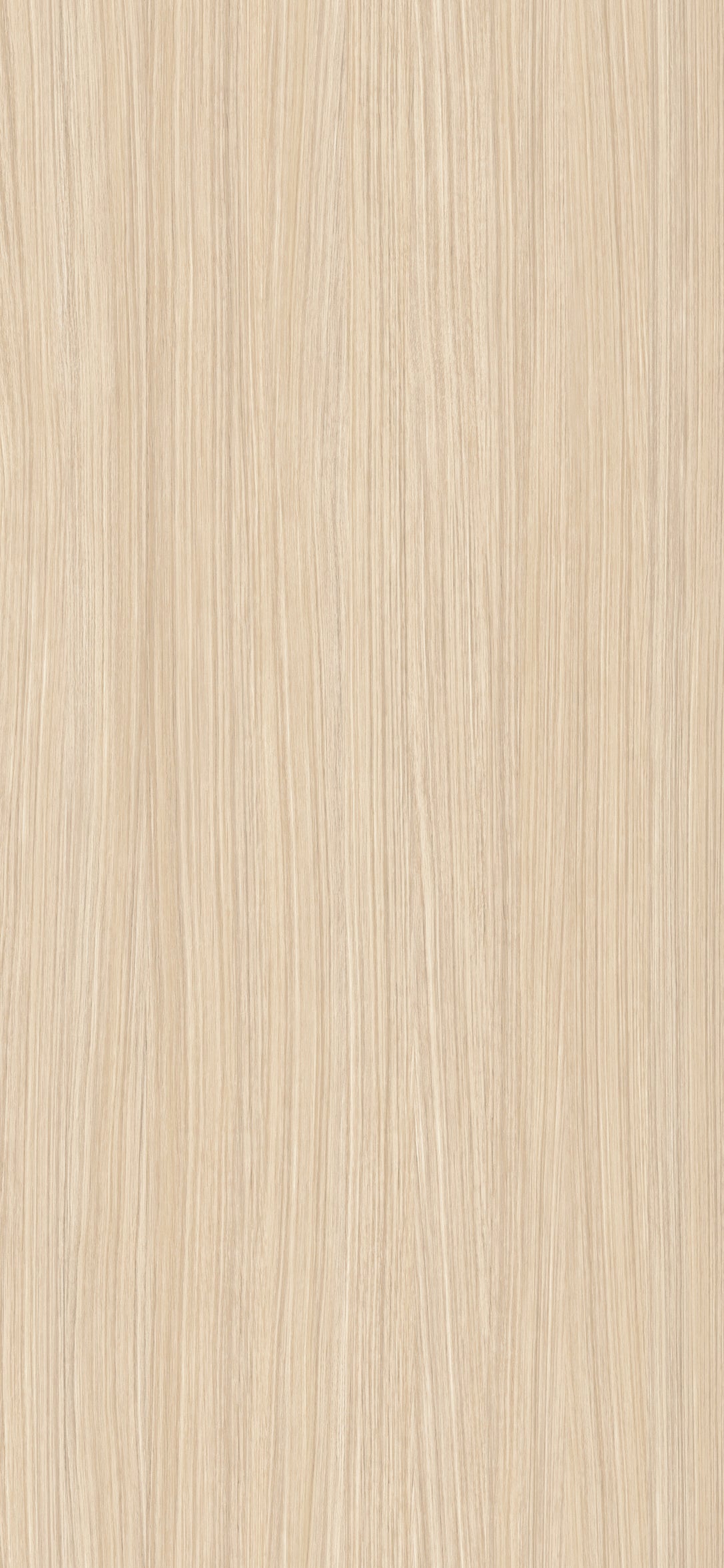 Golden Birch Beige Wood Texture Laminate - Stylam