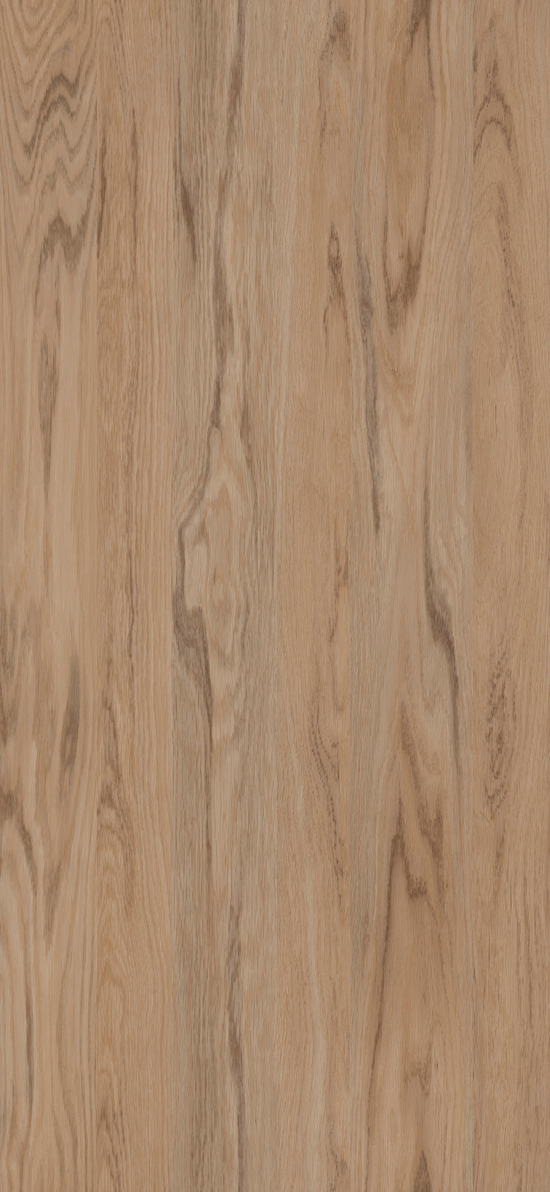 Golden Elm Beige Wood Texture Laminate - Stylam