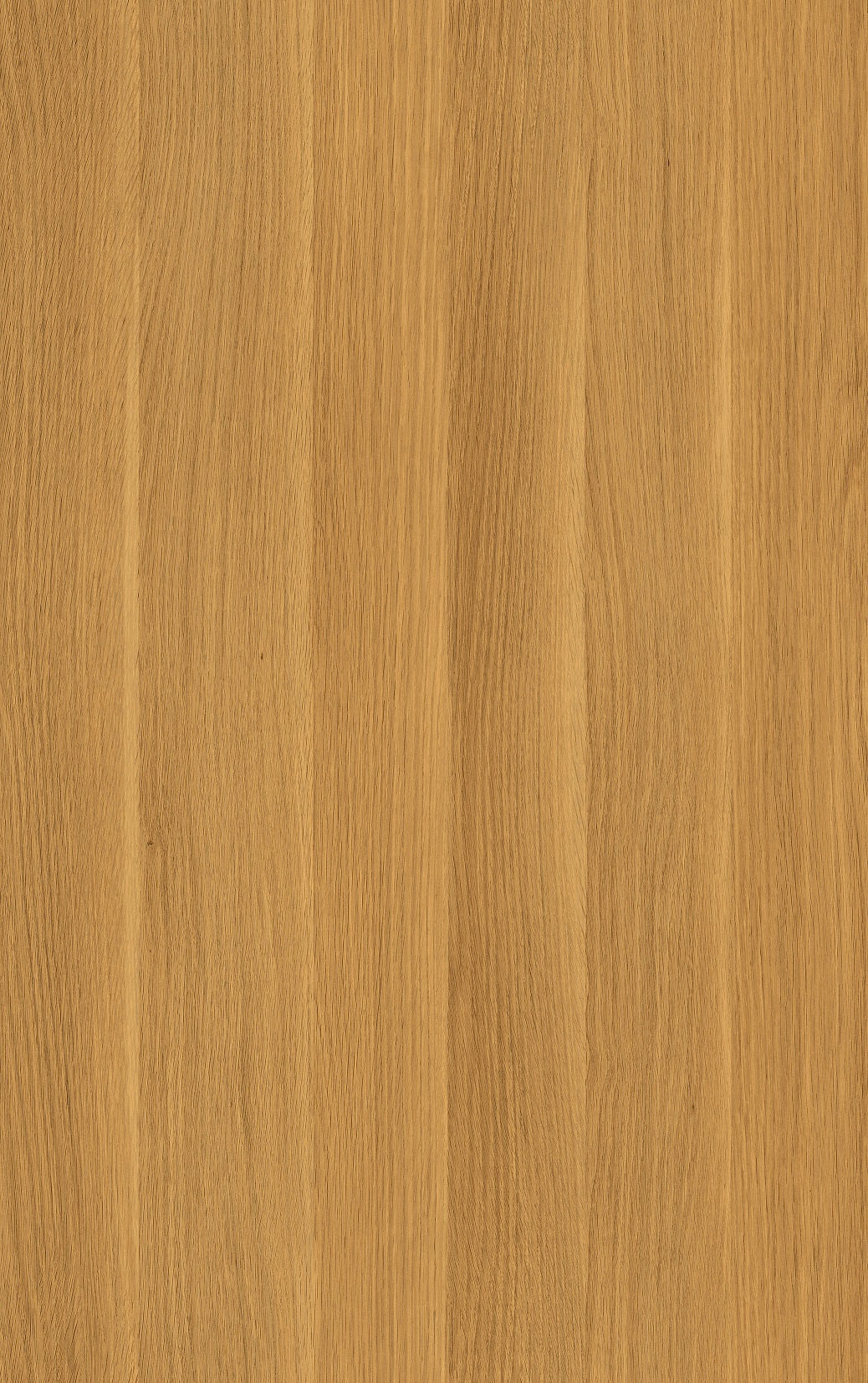 Rovere Honey Oak Brown Wood Texture Laminate