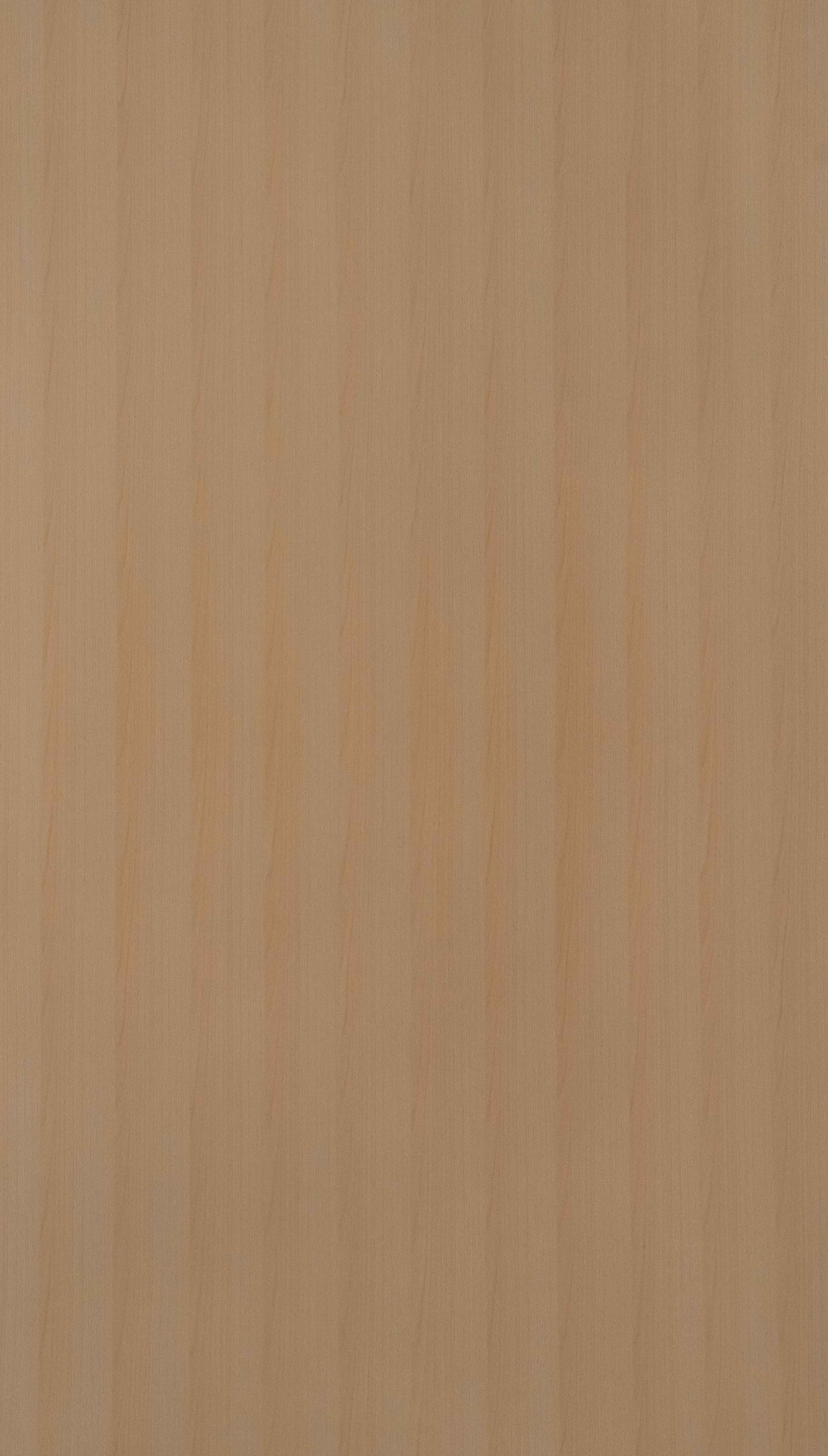 Tupelo Wood Beige Wood Texture Laminate - Stylam