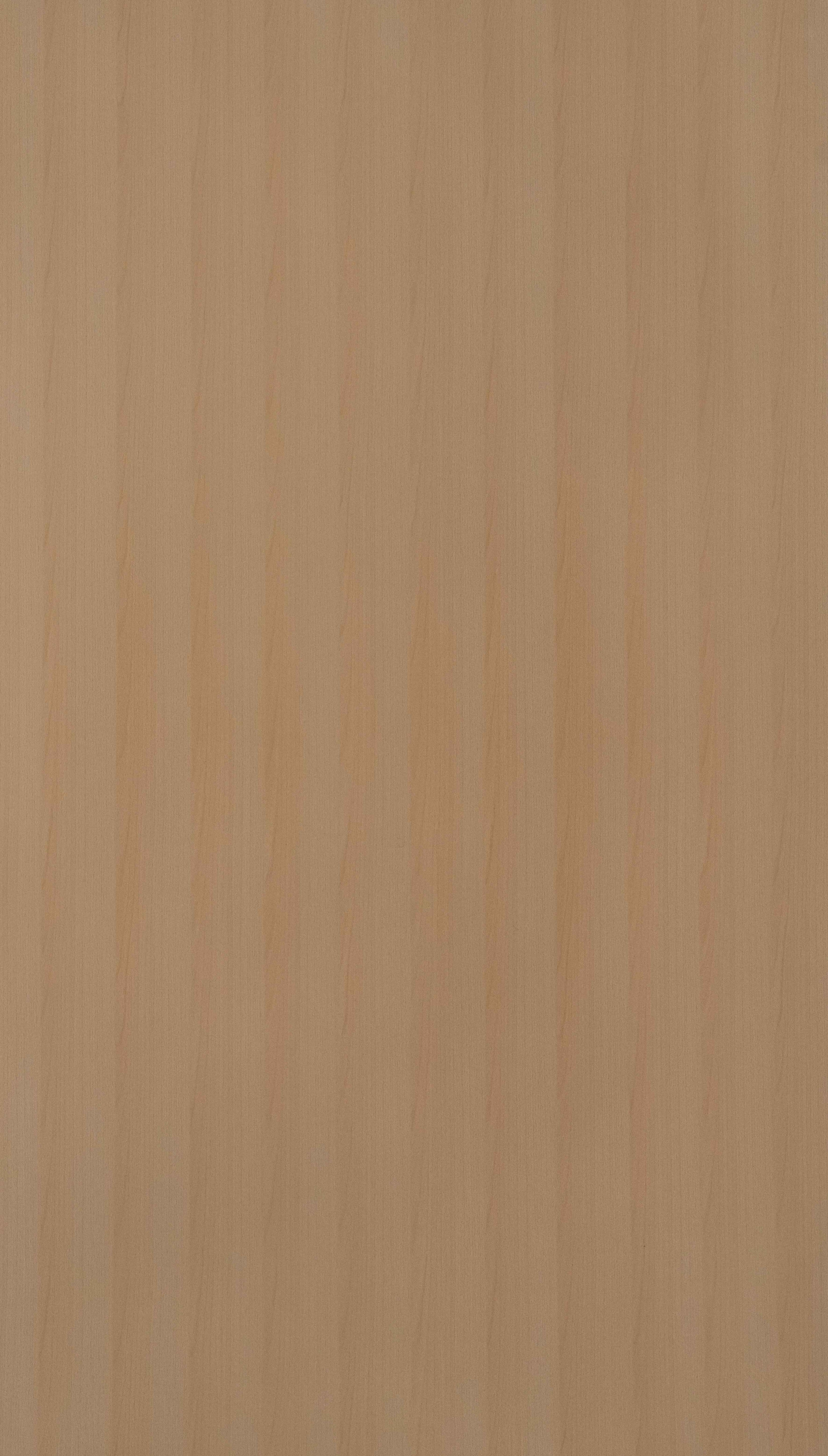 Tupelo Wood Beige Wood Texture Laminate - Stylam