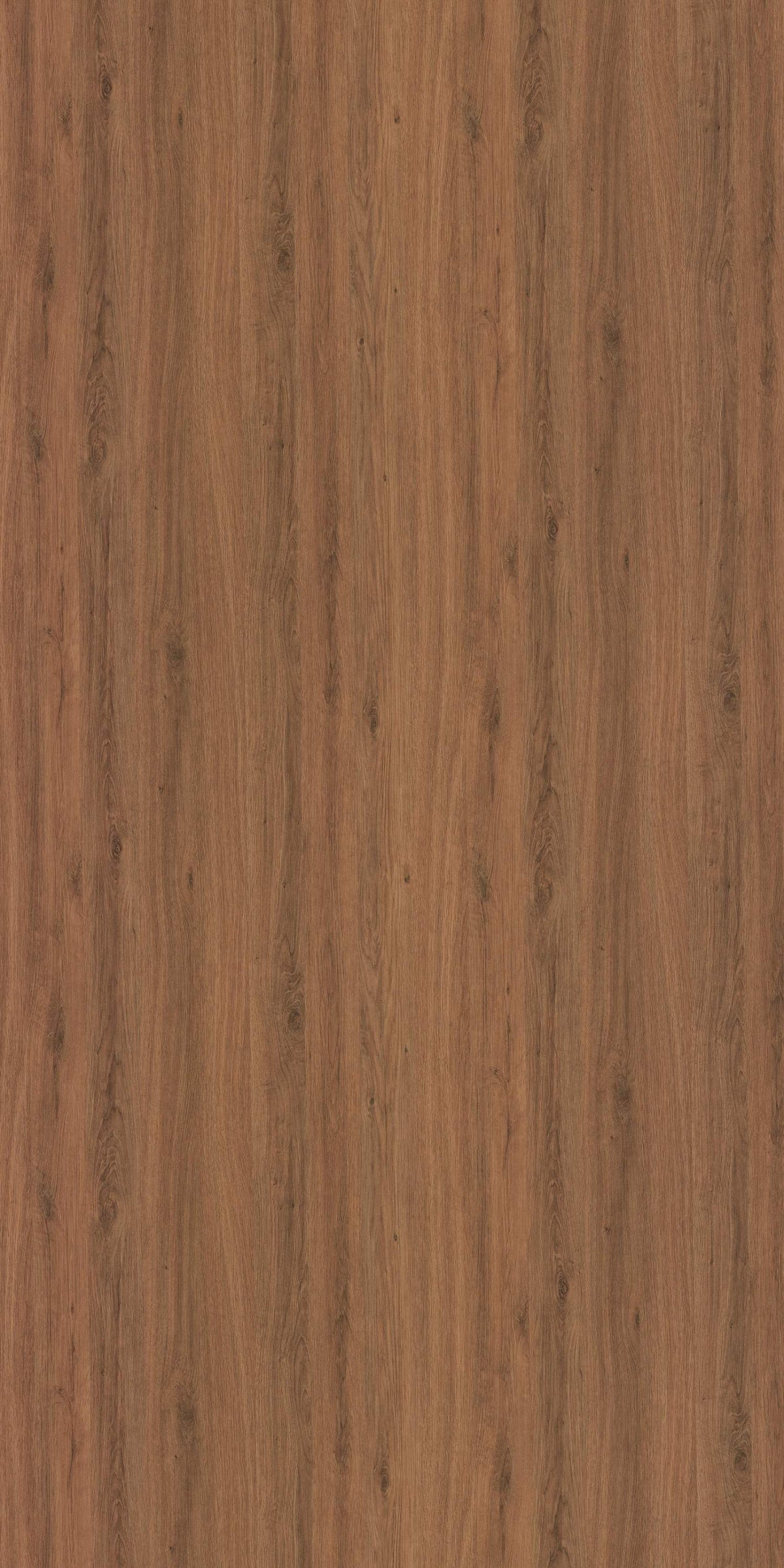 Santana Oak Texture Laminate 4x8 ft | Stylam – Next Level Decor Chennai