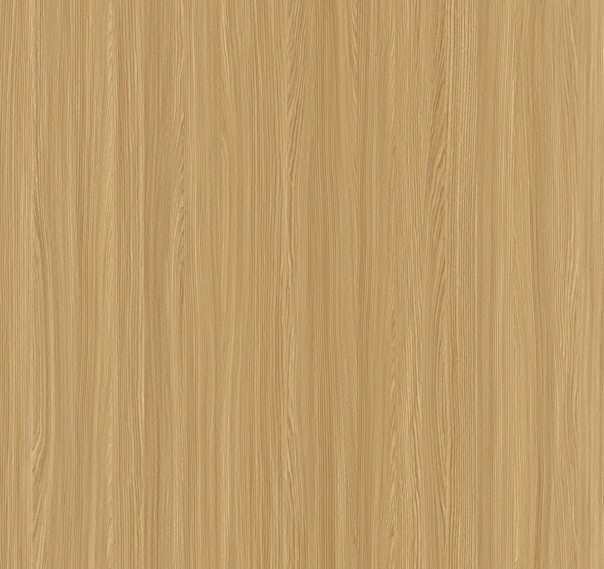 Honey Elm Beige Wood Texture Laminate - Stylam