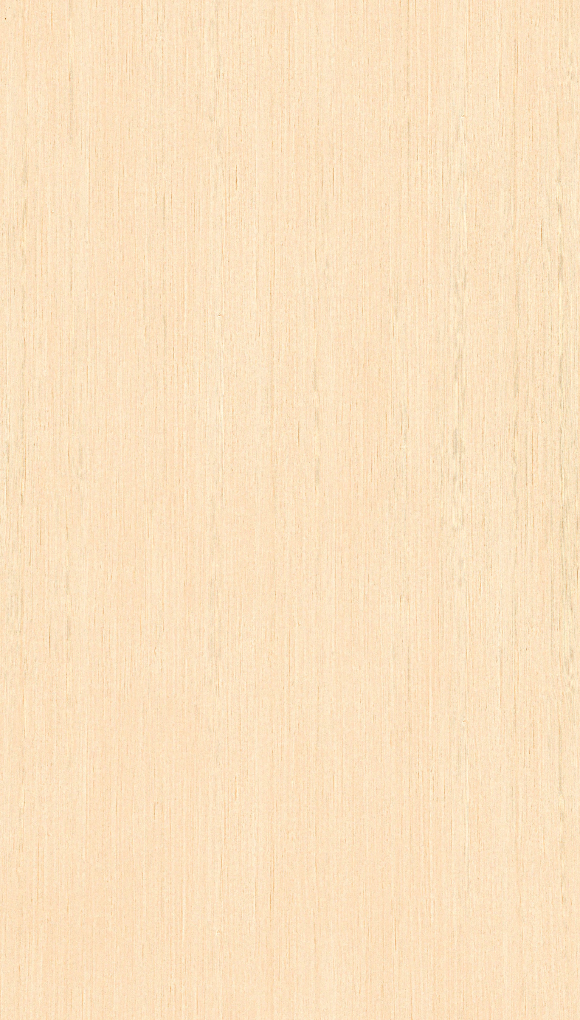 Straight Pine Beige Wood Texture Laminate - Stylam