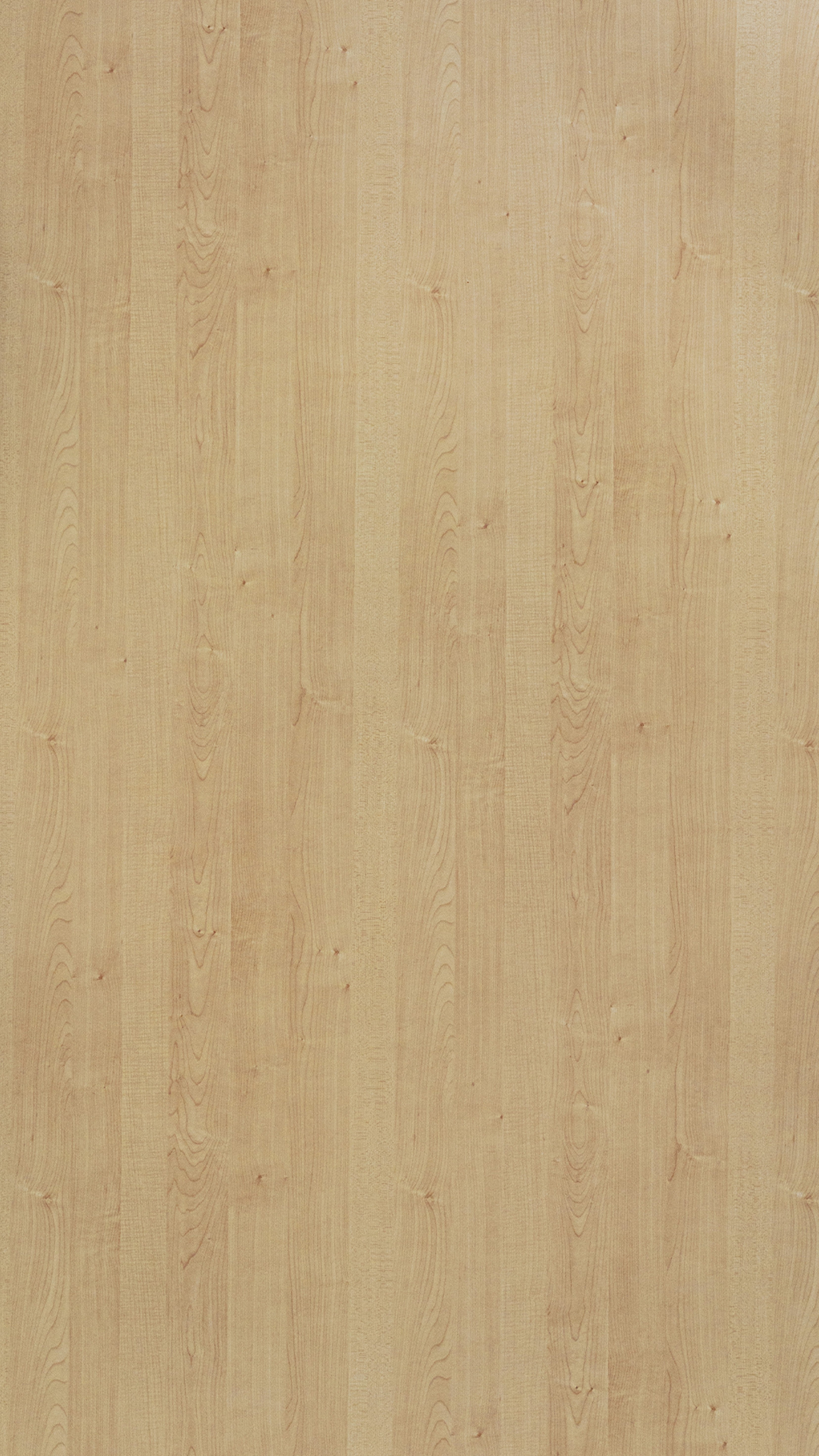 Mountain Maple Beige Wood Texture Laminate - Stylam