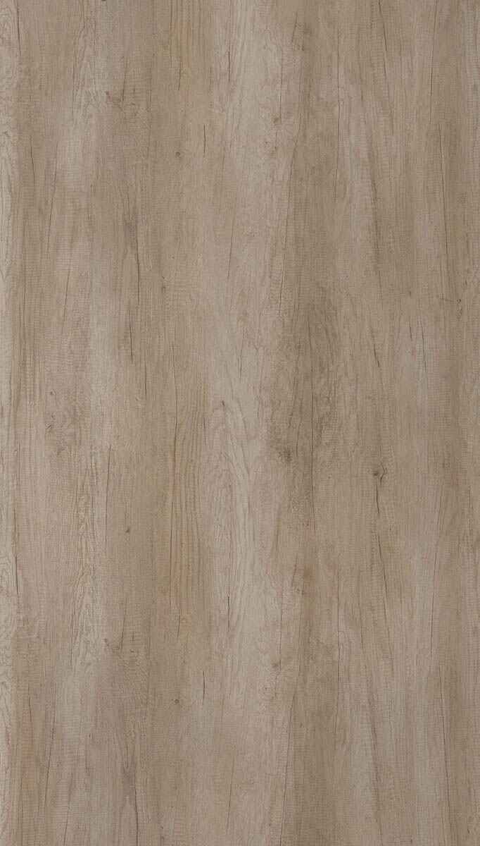 Canyon Oak Beige Wood Texture Laminate - Stylam