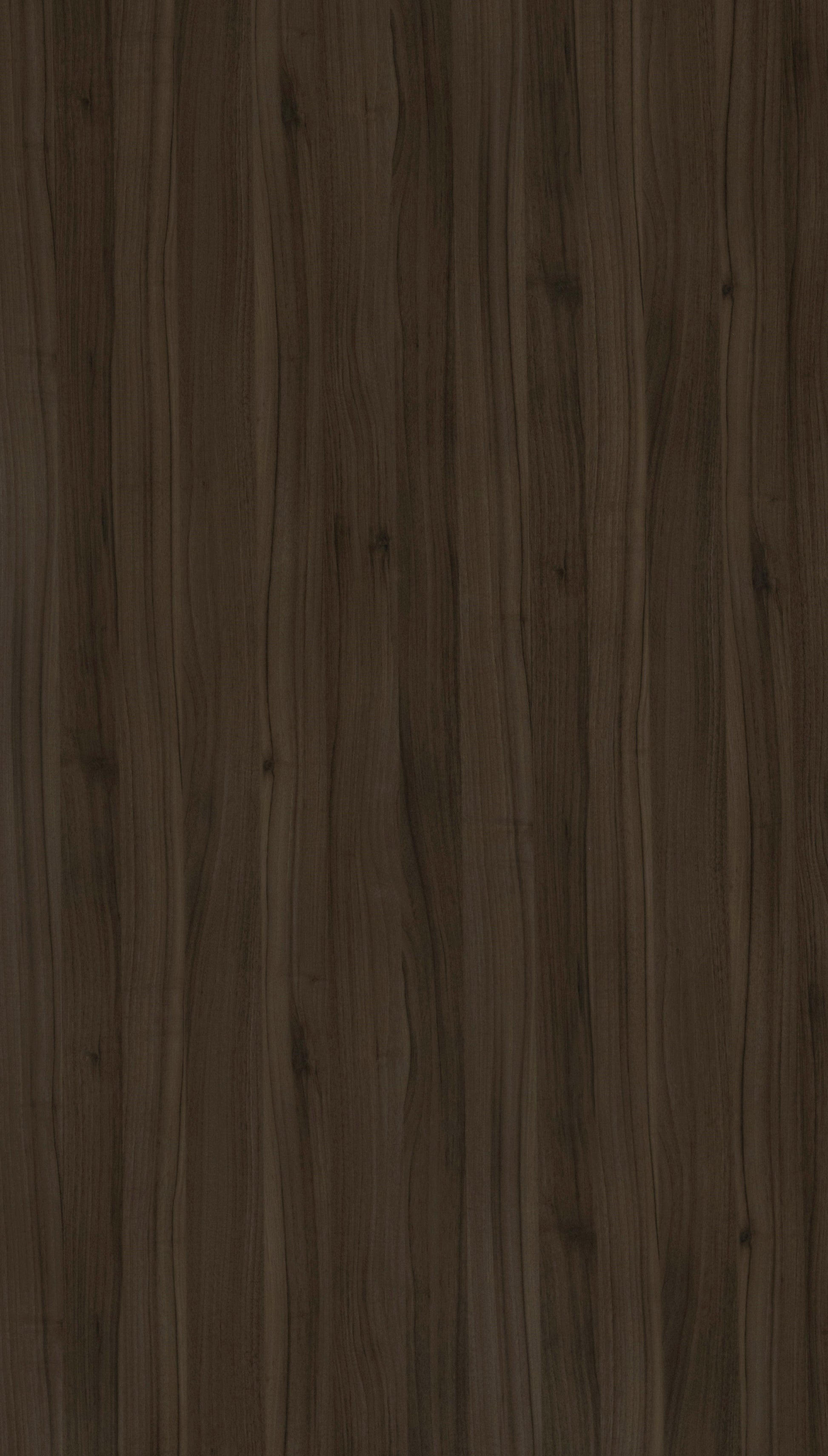 Walnut Bronze Brown Wood Texture Laminate - Stylam