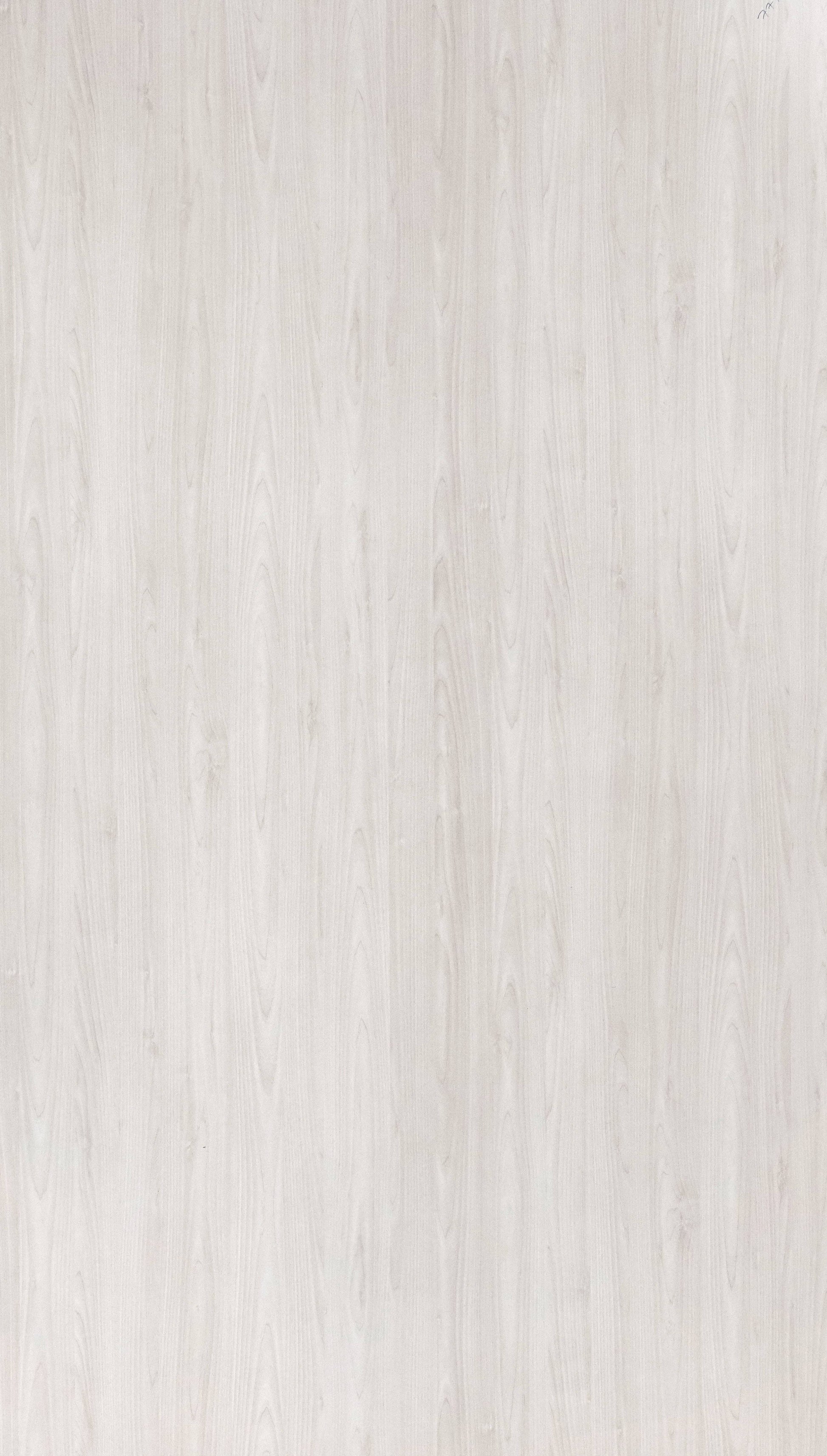 Wellow Tree White White Wood Texture Laminate - Stylam