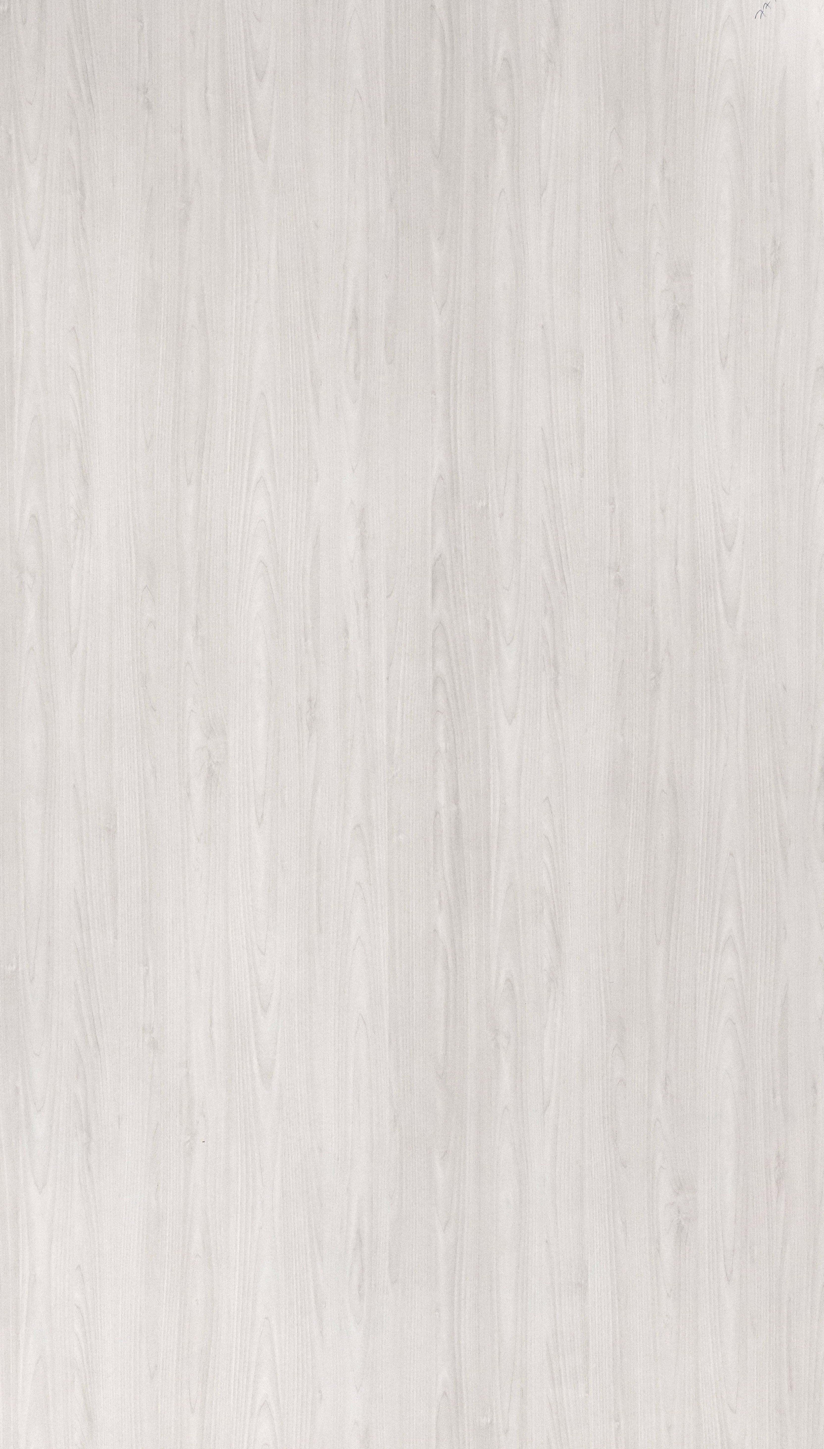 Wellow Tree White White Wood Texture Laminate - Stylam