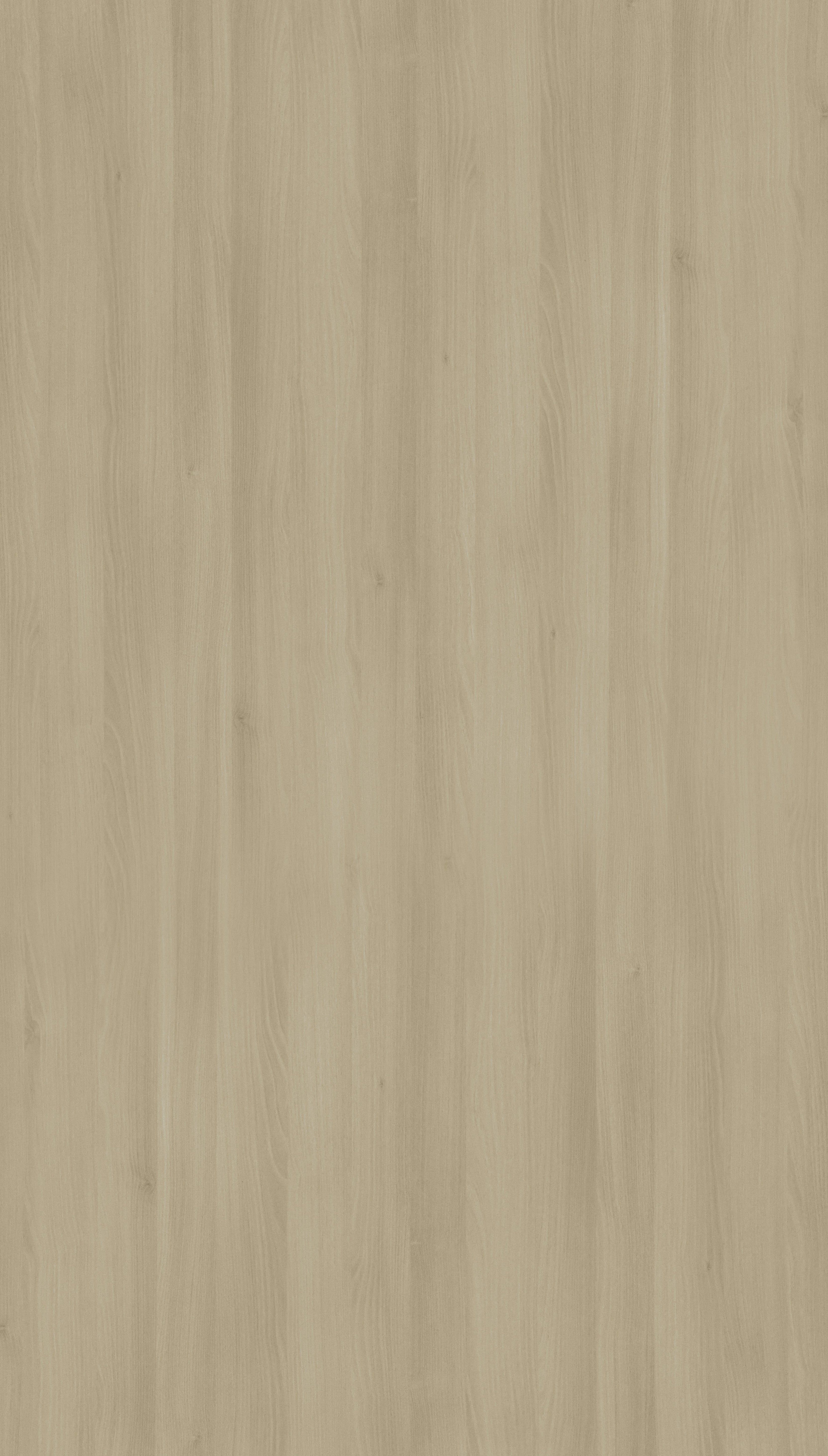 Moldau Acacia Beige Wood Texture Laminate - Stylam