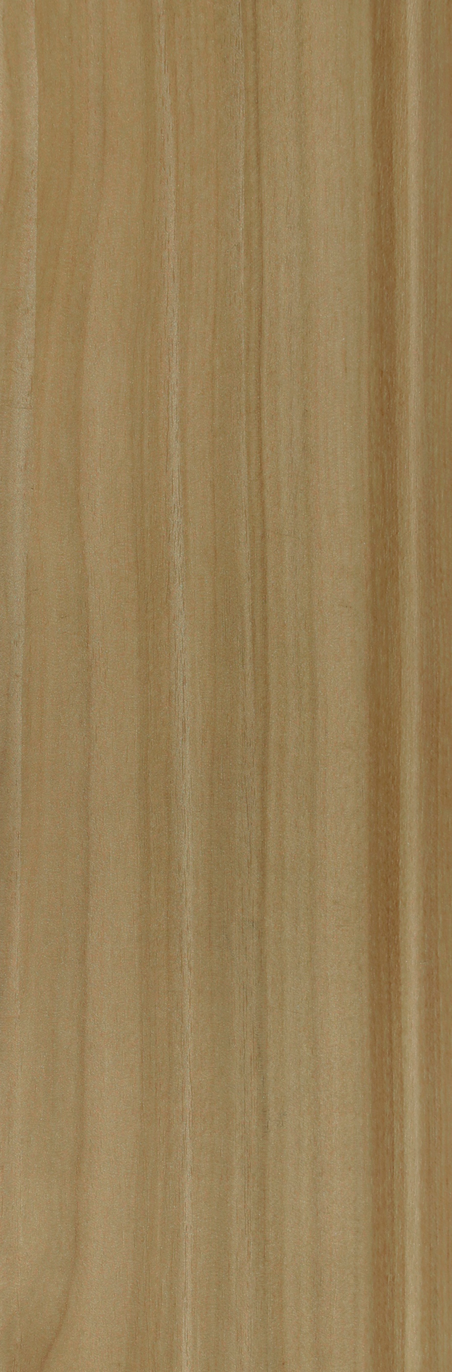 Wood Valley Sycamore Bamboo Fiber Skirting Board wood-grain texture close-up