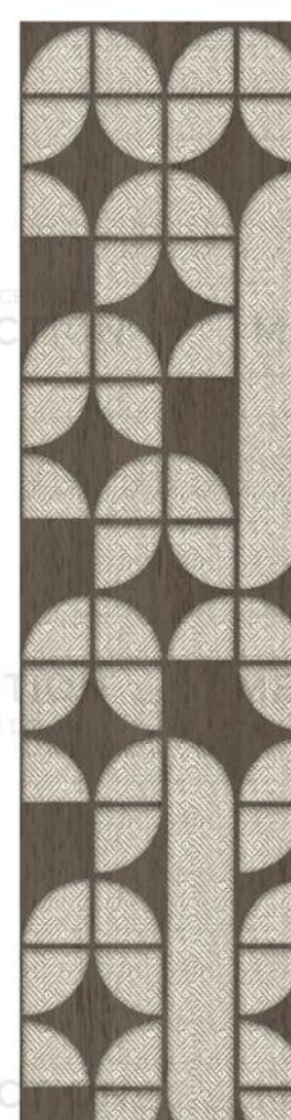 Meridian Concept Theory EP-995 Ebony Wood Epitome Panel wall panel