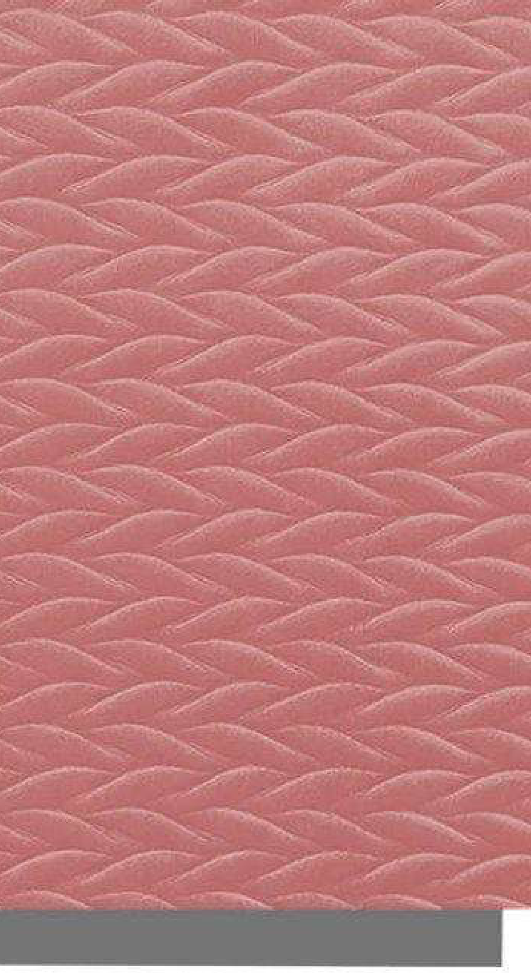 Meridian Velvet Verve Alves DM12 in Dusty Rose, braided herringbone relief