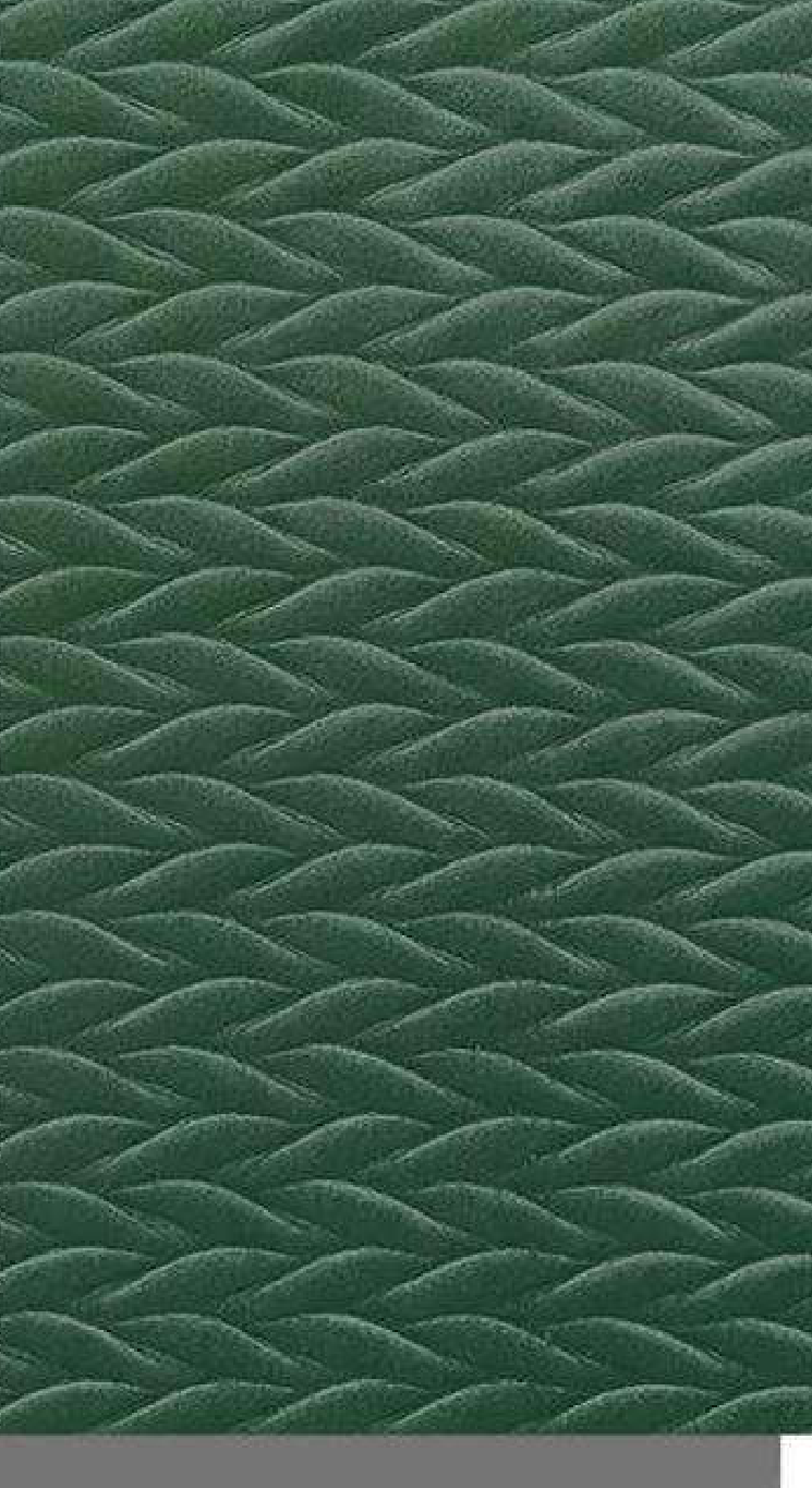 Meridian Velvet Verve Alves DM18-FOREST in Forest Green, braided herringbone relief